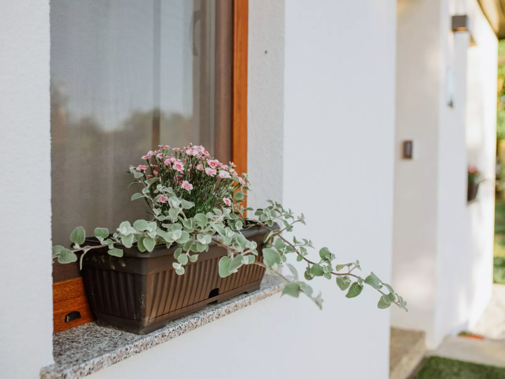 House The View - Outside