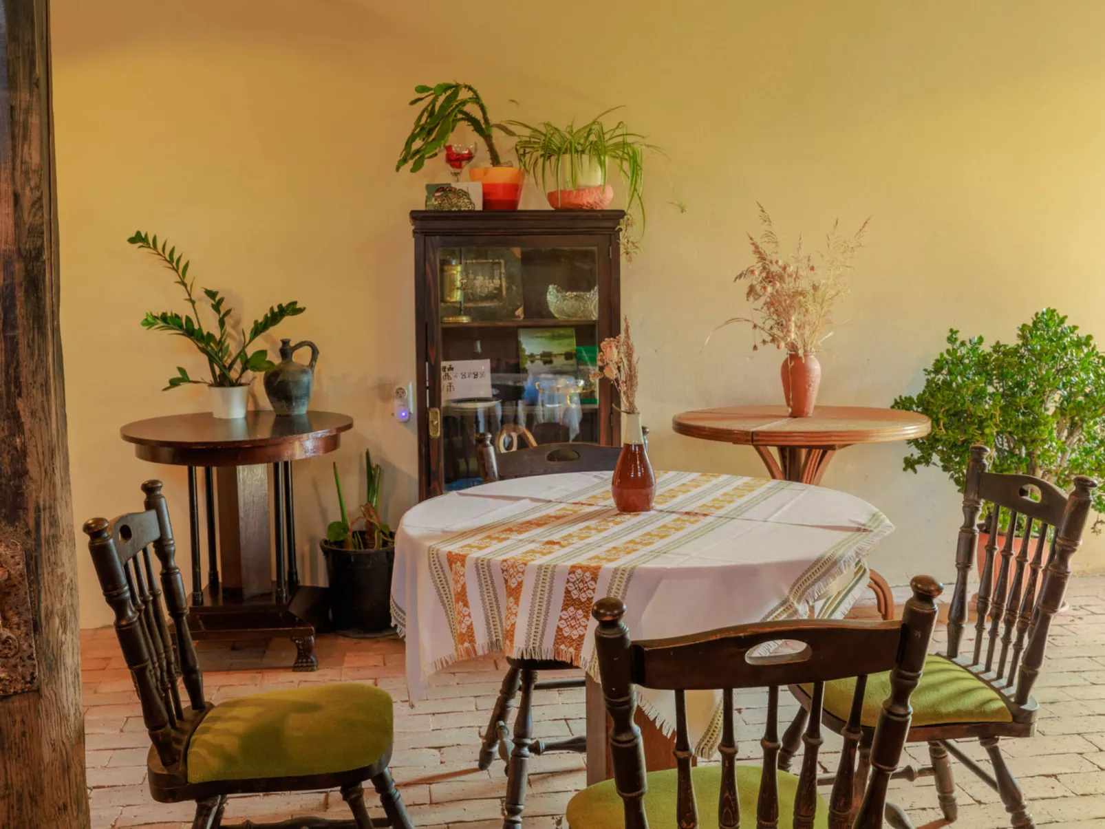 House Biljkinog oca - Dedans