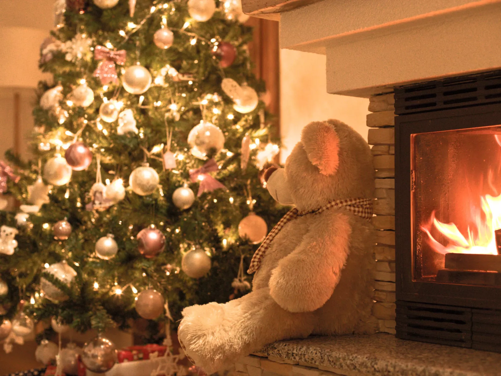 House Mali Medo - Dedans