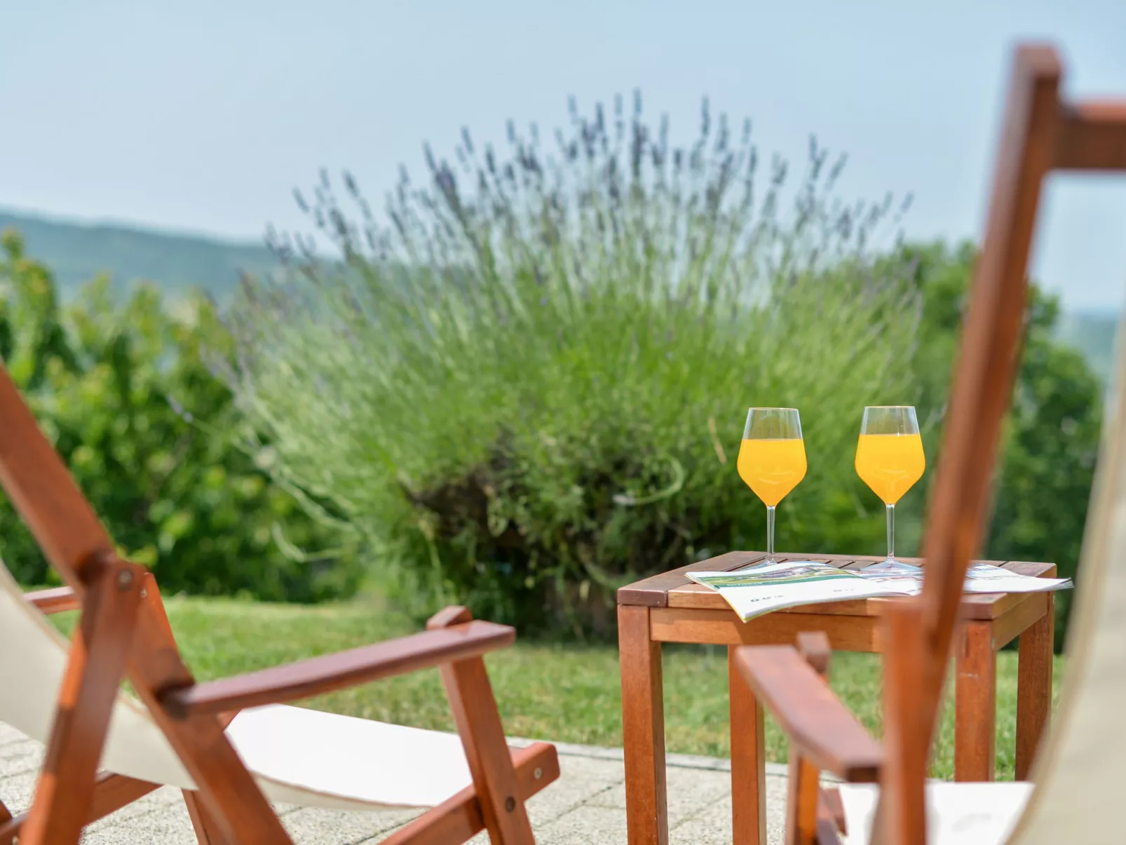 Divinus Holiday House - Dehors