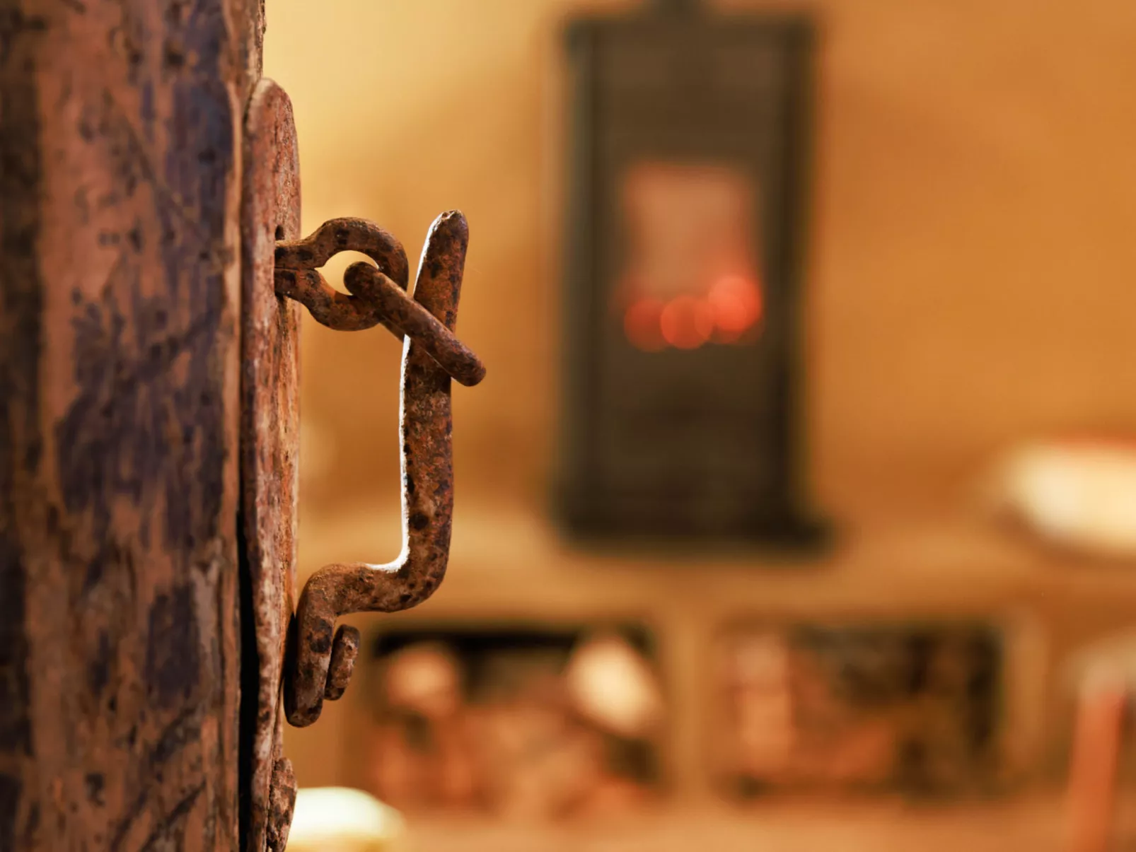 House Biljkinog oca - Dedans