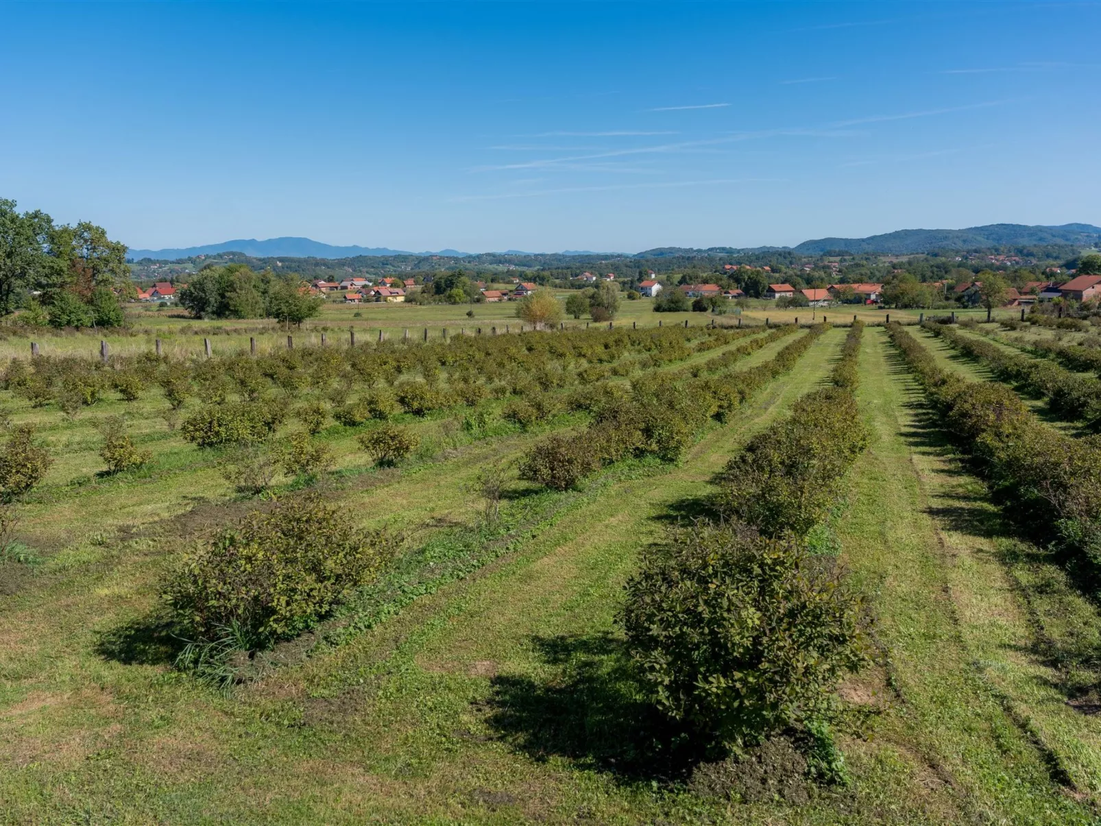 Holiday house Val - Dehors