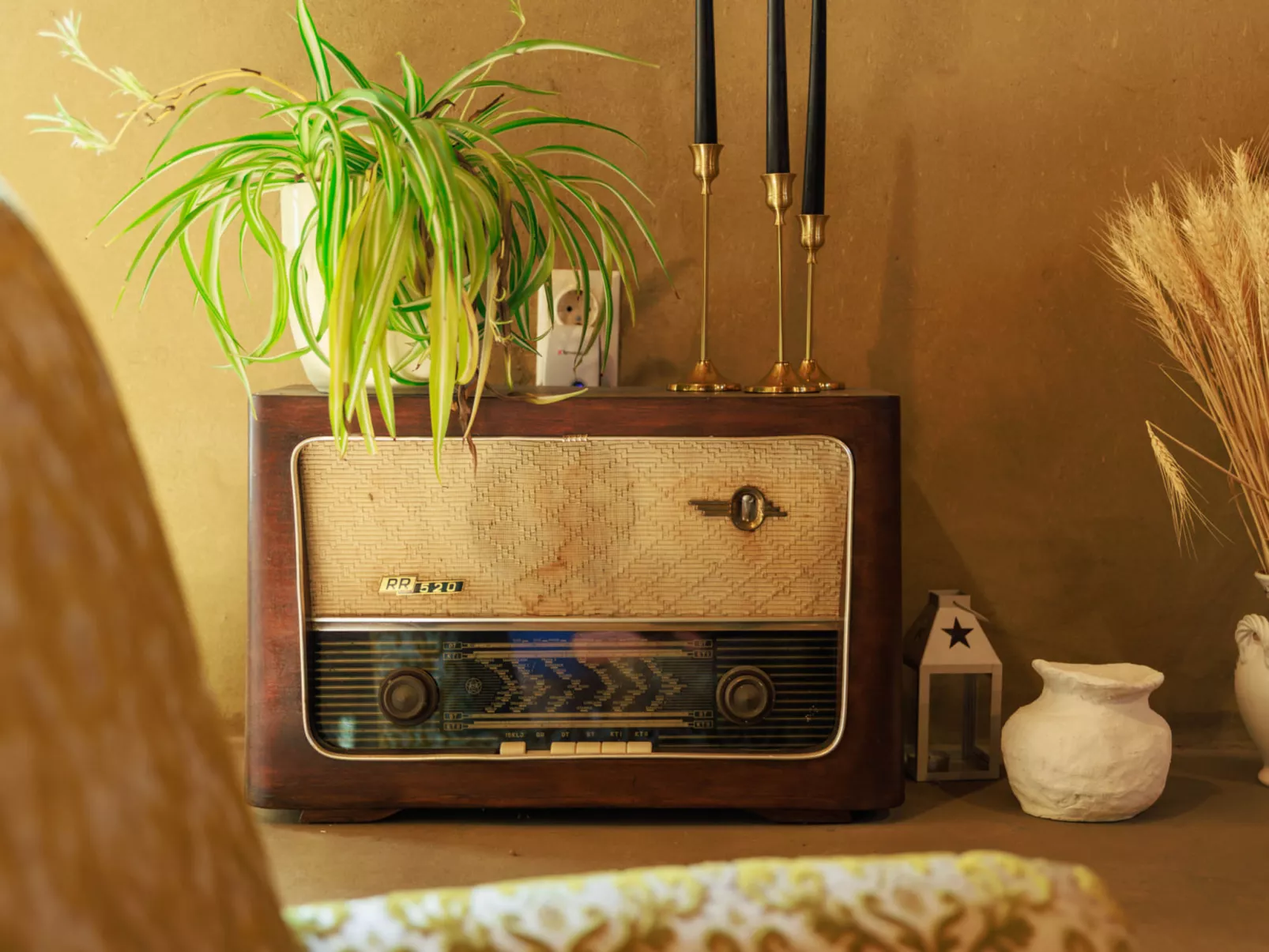 House Biljkinog oca - Dedans