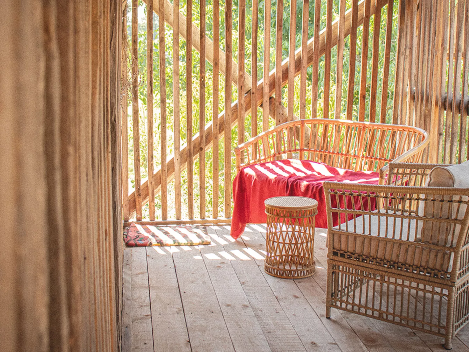 House Biljkinog oca - Dedans