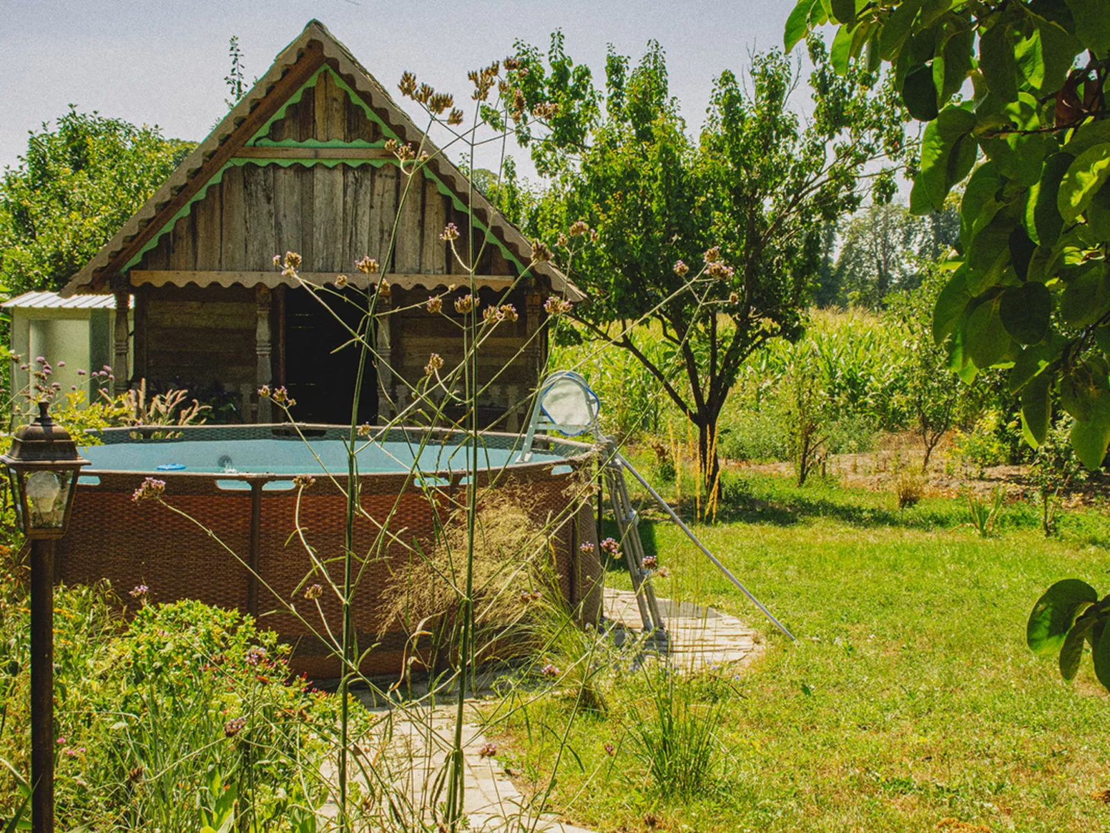 House Biljkinog oca - Dehors