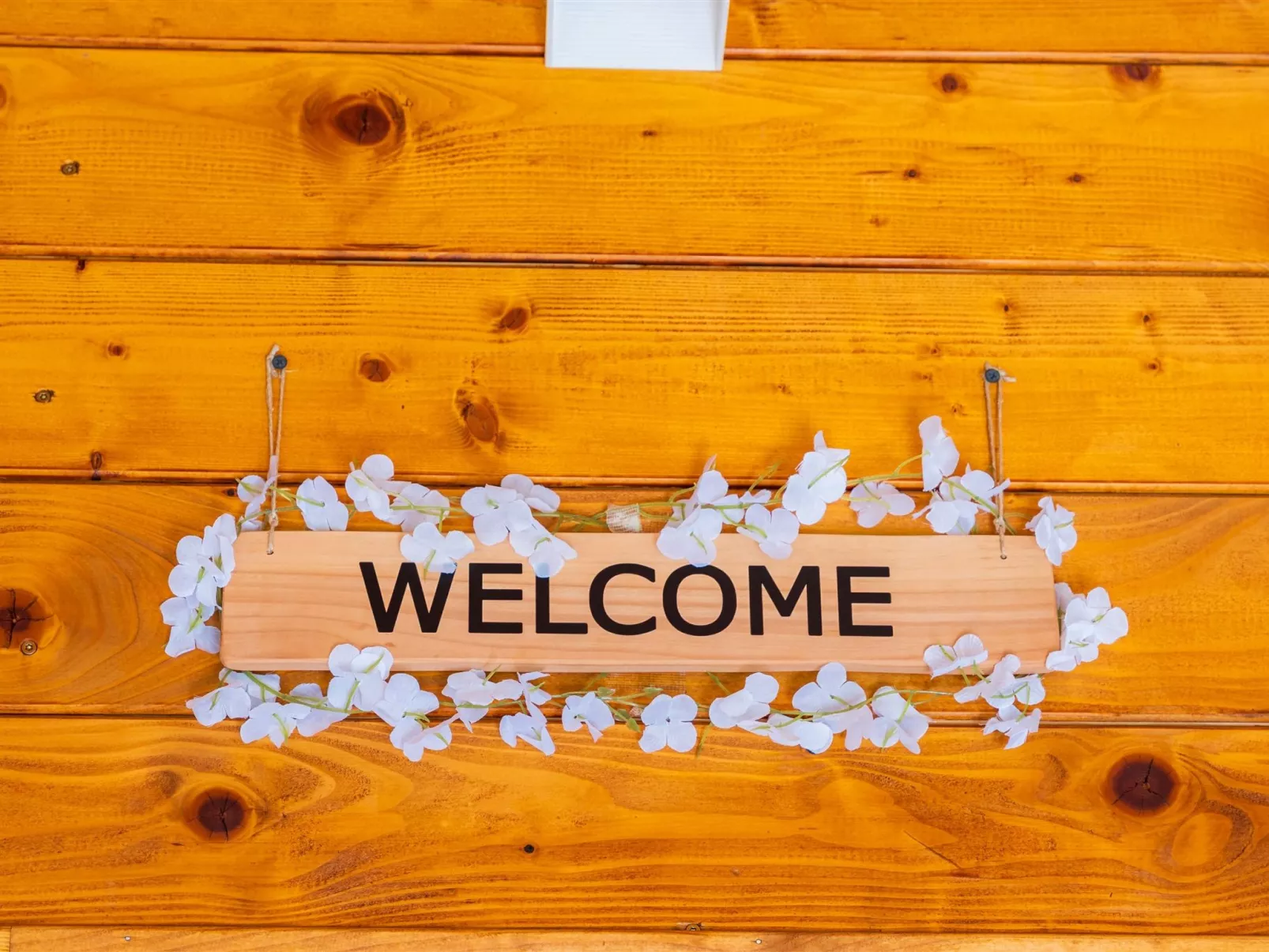 House Šumska idila - Outside