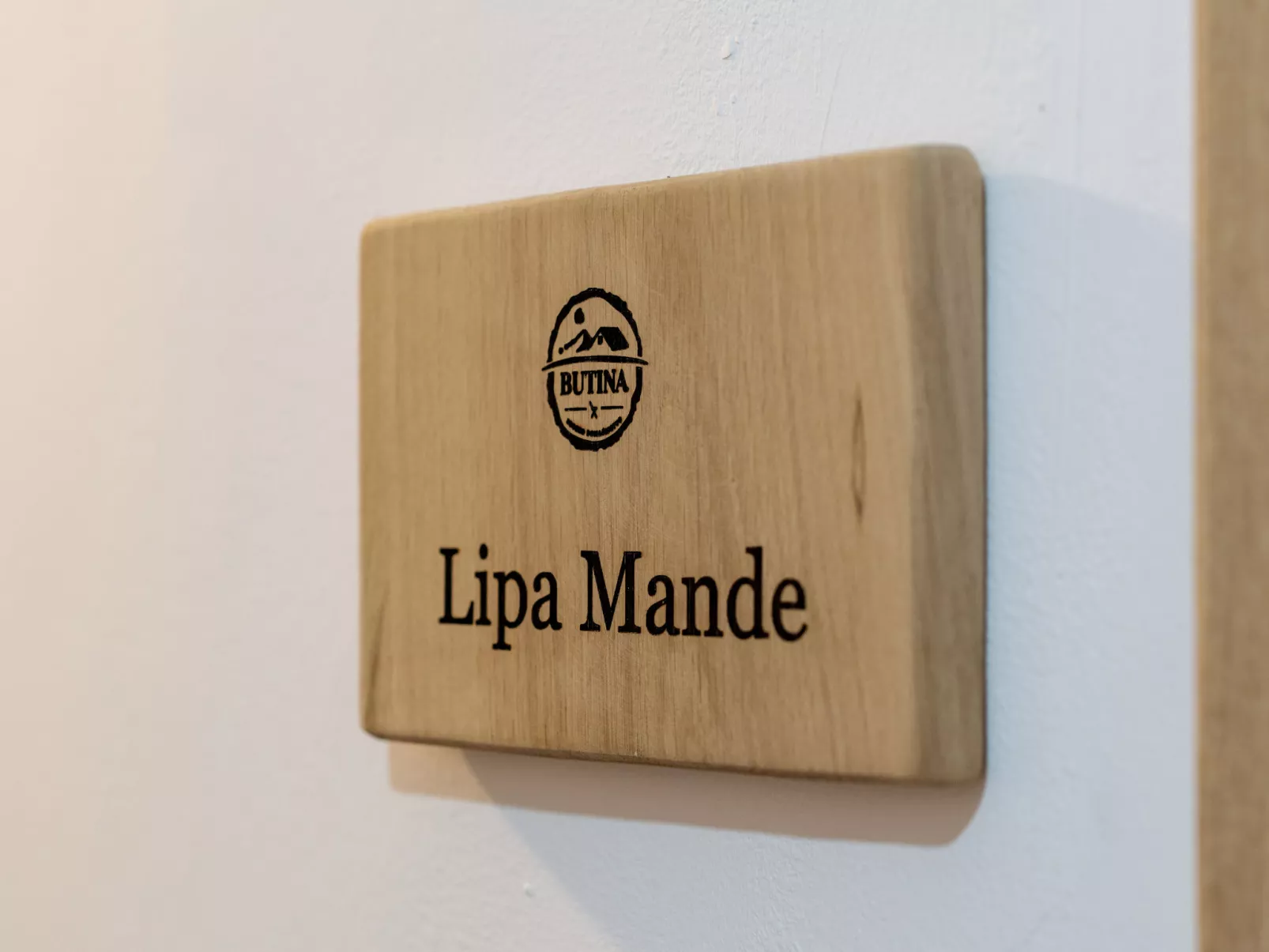 Pansion Seosko domaćinstvo Butina - Draußen