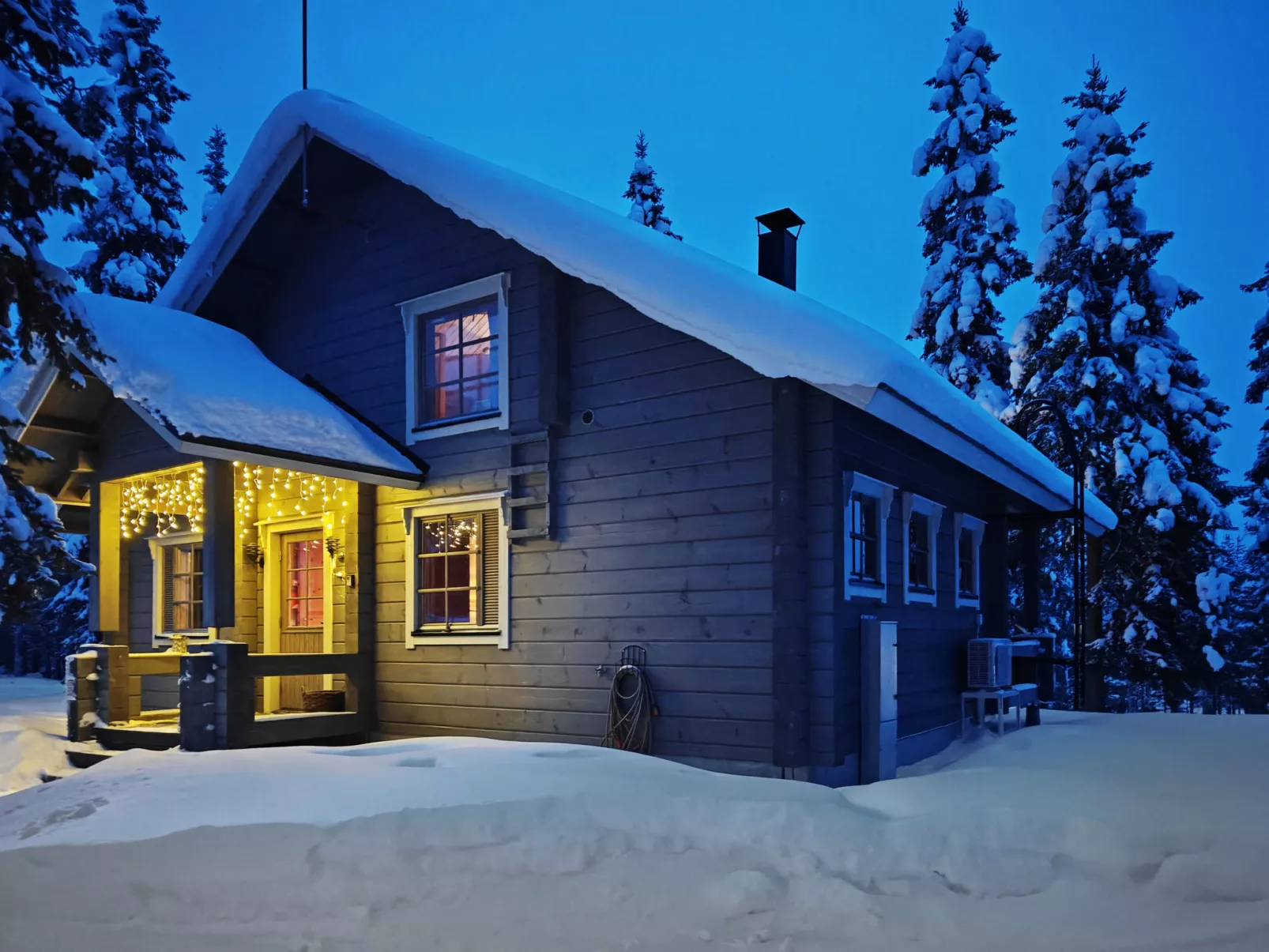 Ihtingin koskikara - Dedans