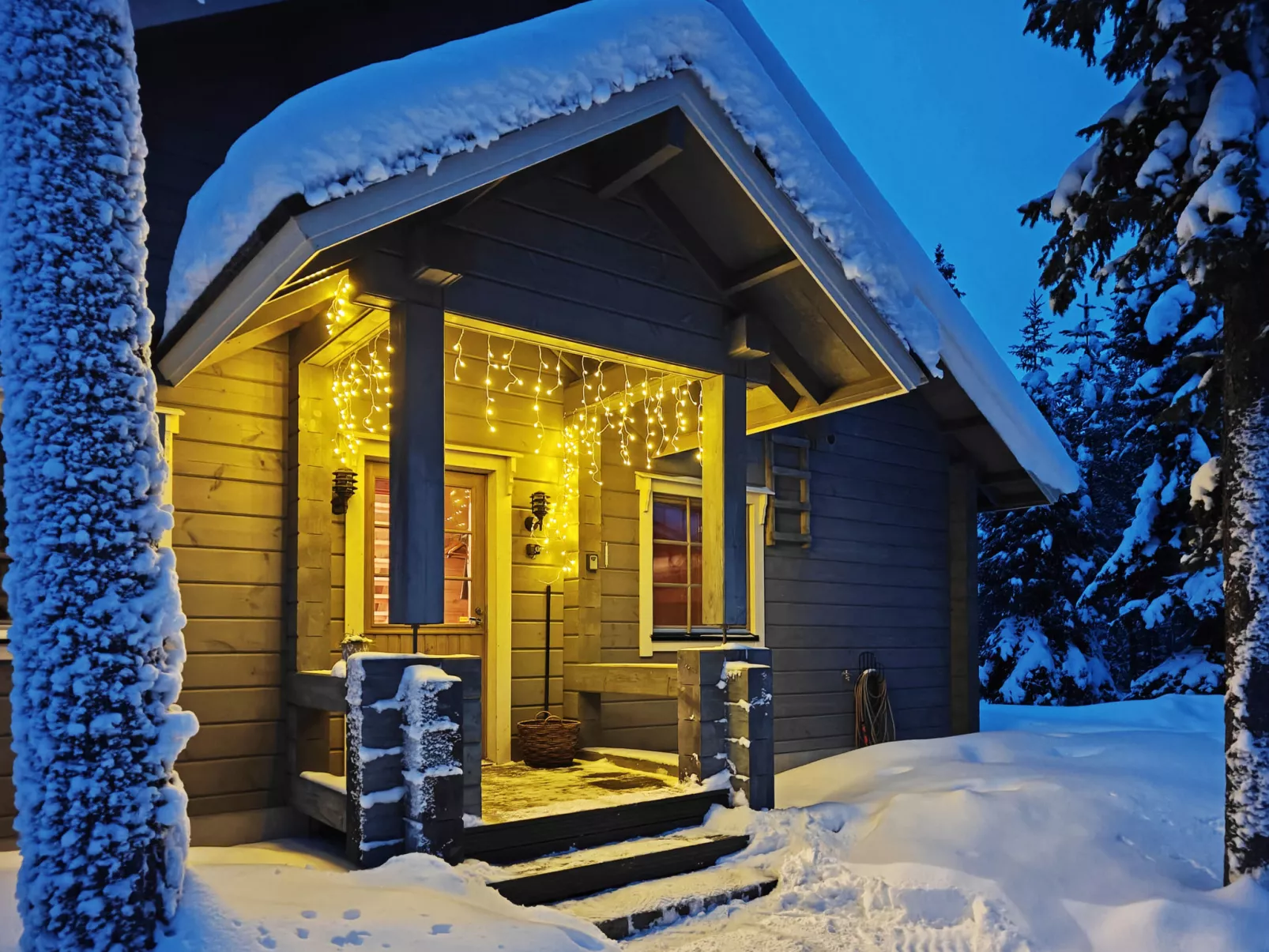 Ihtingin koskikara - Dedans