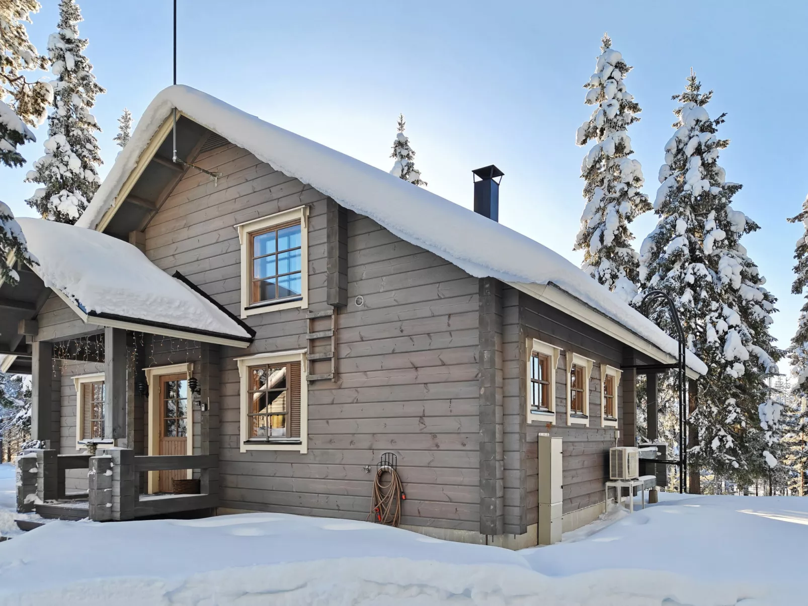 Ihtingin koskikara - Dedans