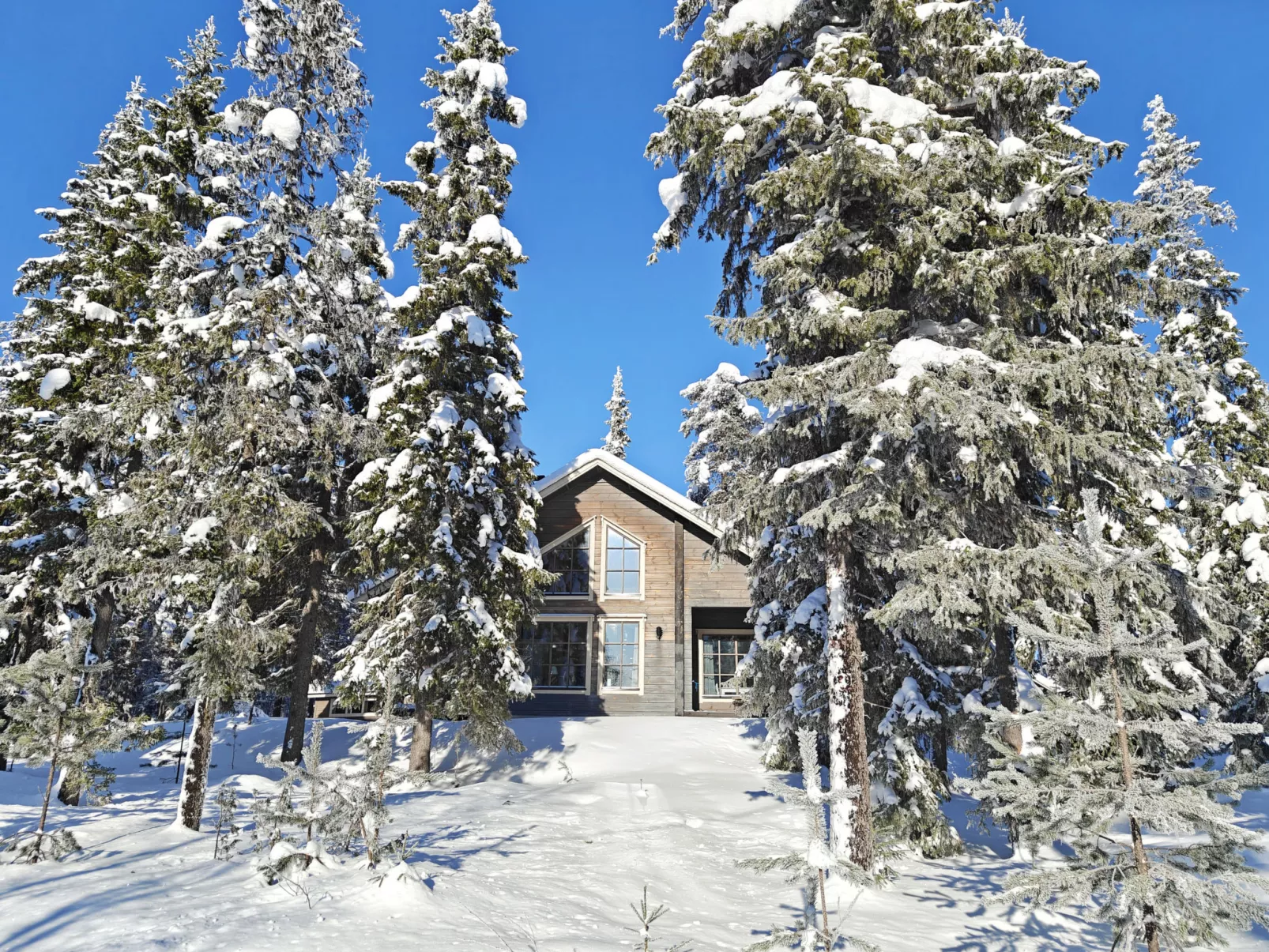 Ihtingin koskikara - Dedans