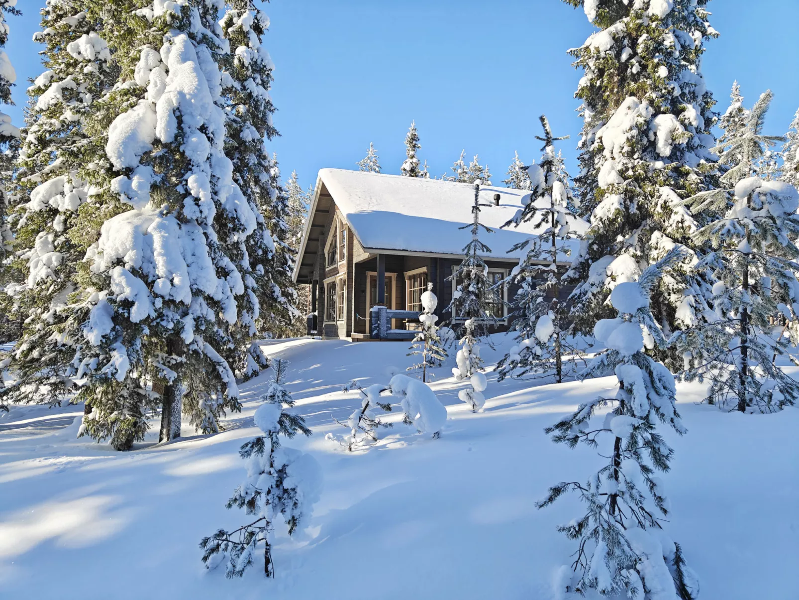 Ihtingin koskikara - Dedans