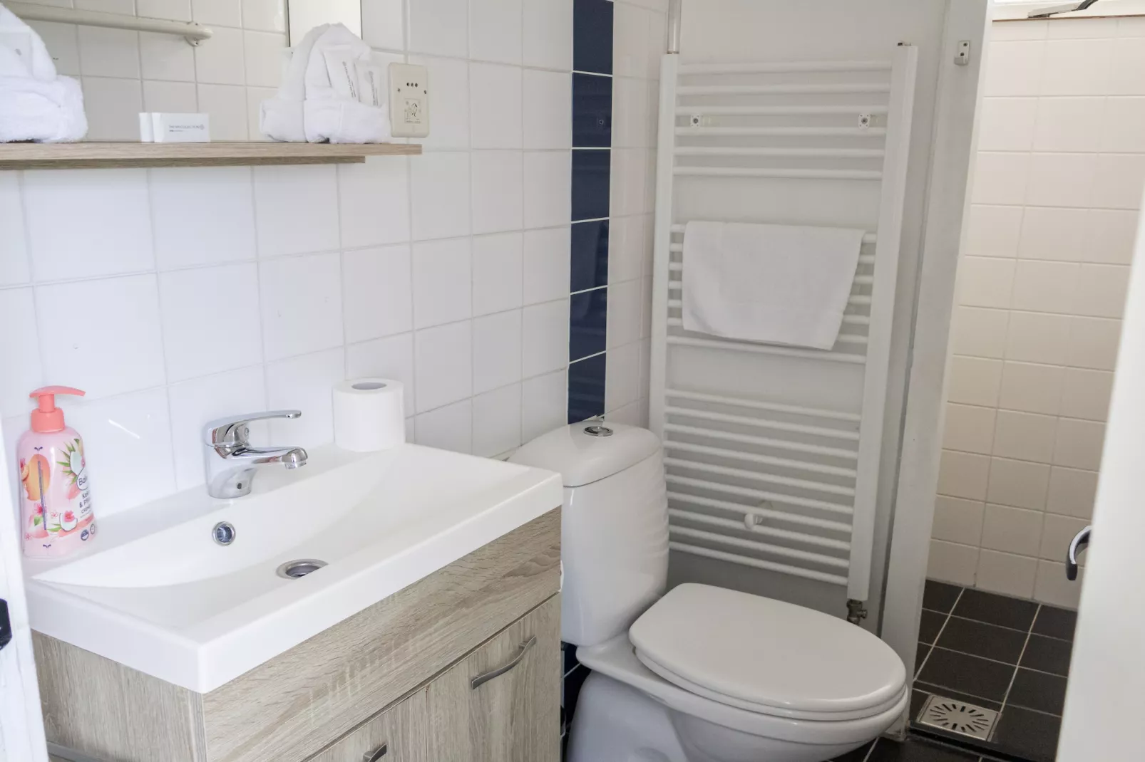 Huis & Meer nabij het Ijsselmeer - Badezimmer