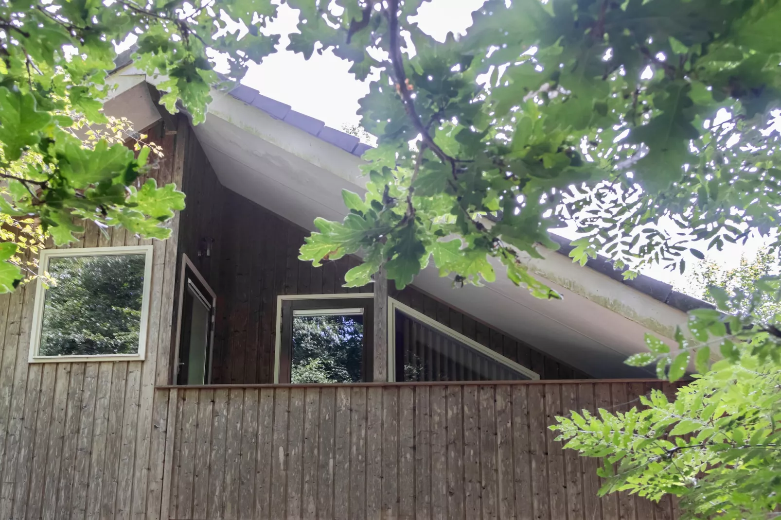 Huis in de Bossen - Extérieur été