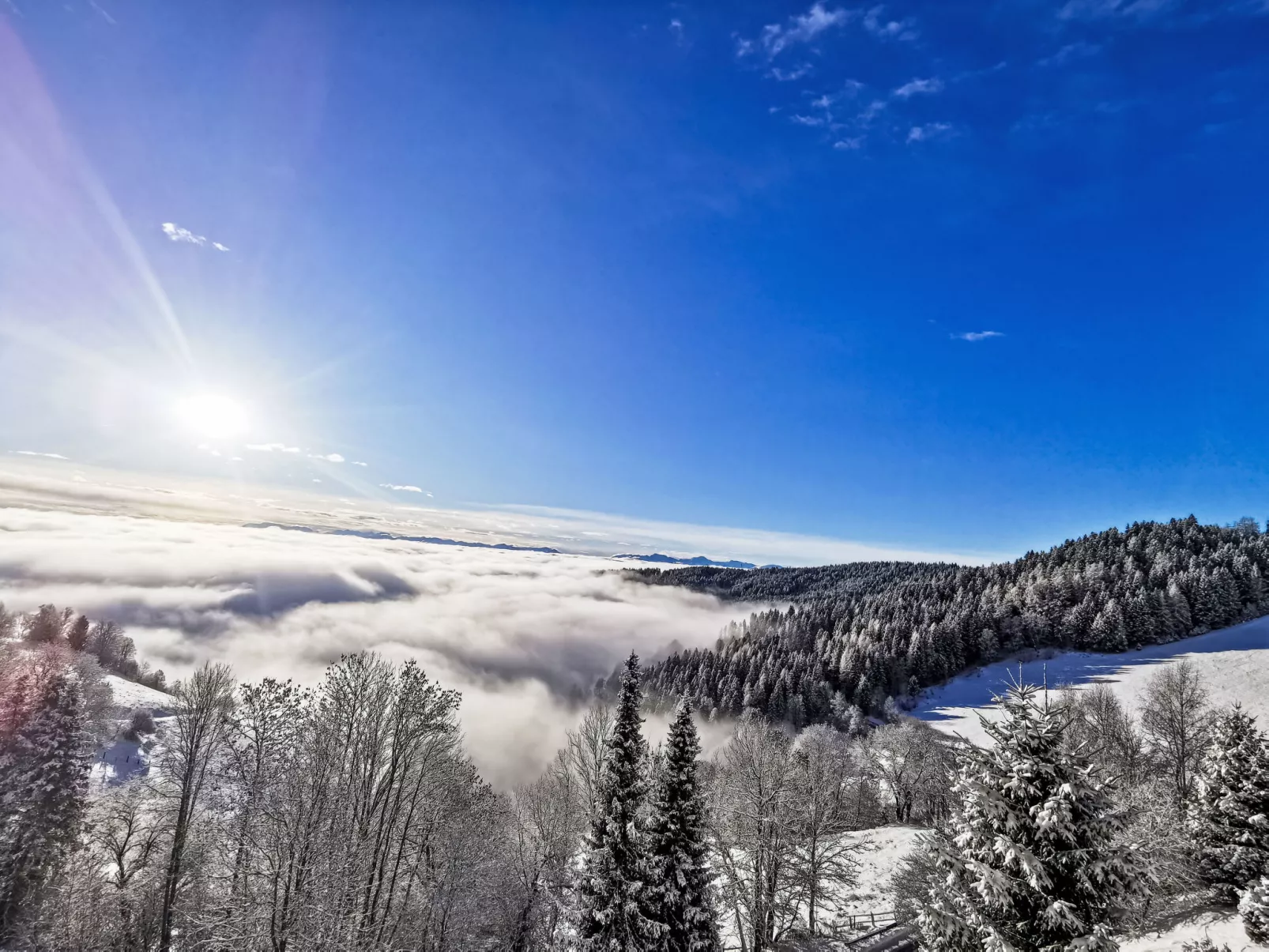 Urban & Florian - Outside