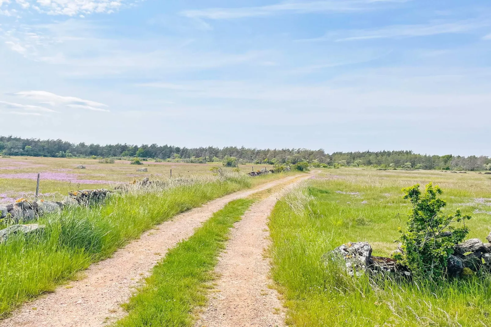 7 person holiday home in LÖTTORP - Untagged