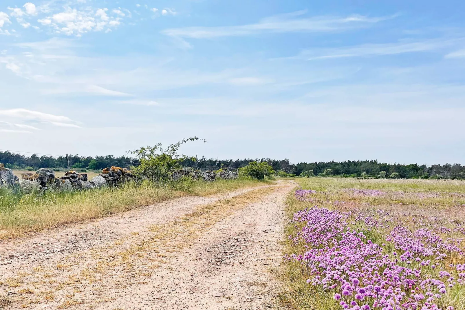 7 person holiday home in LÖTTORP - Untagged