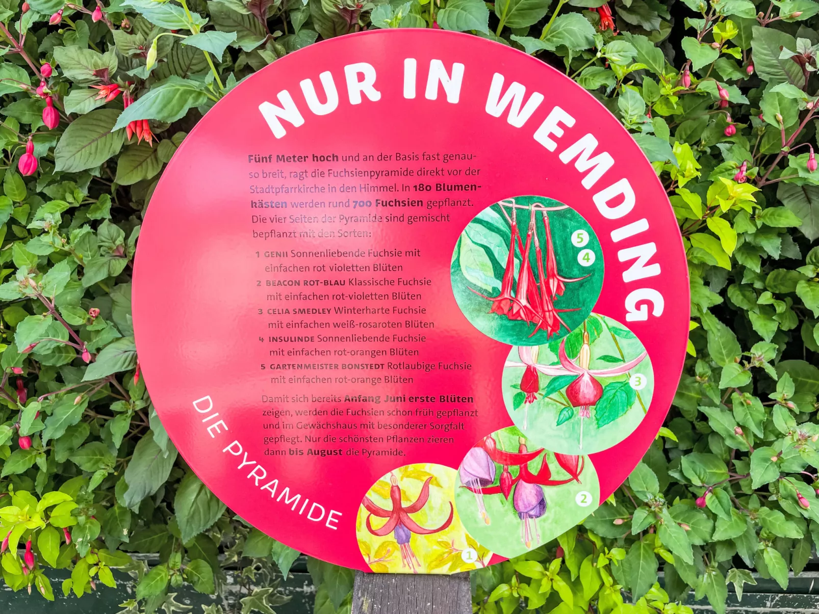 Tiny Haus See-Koje - Umgebung