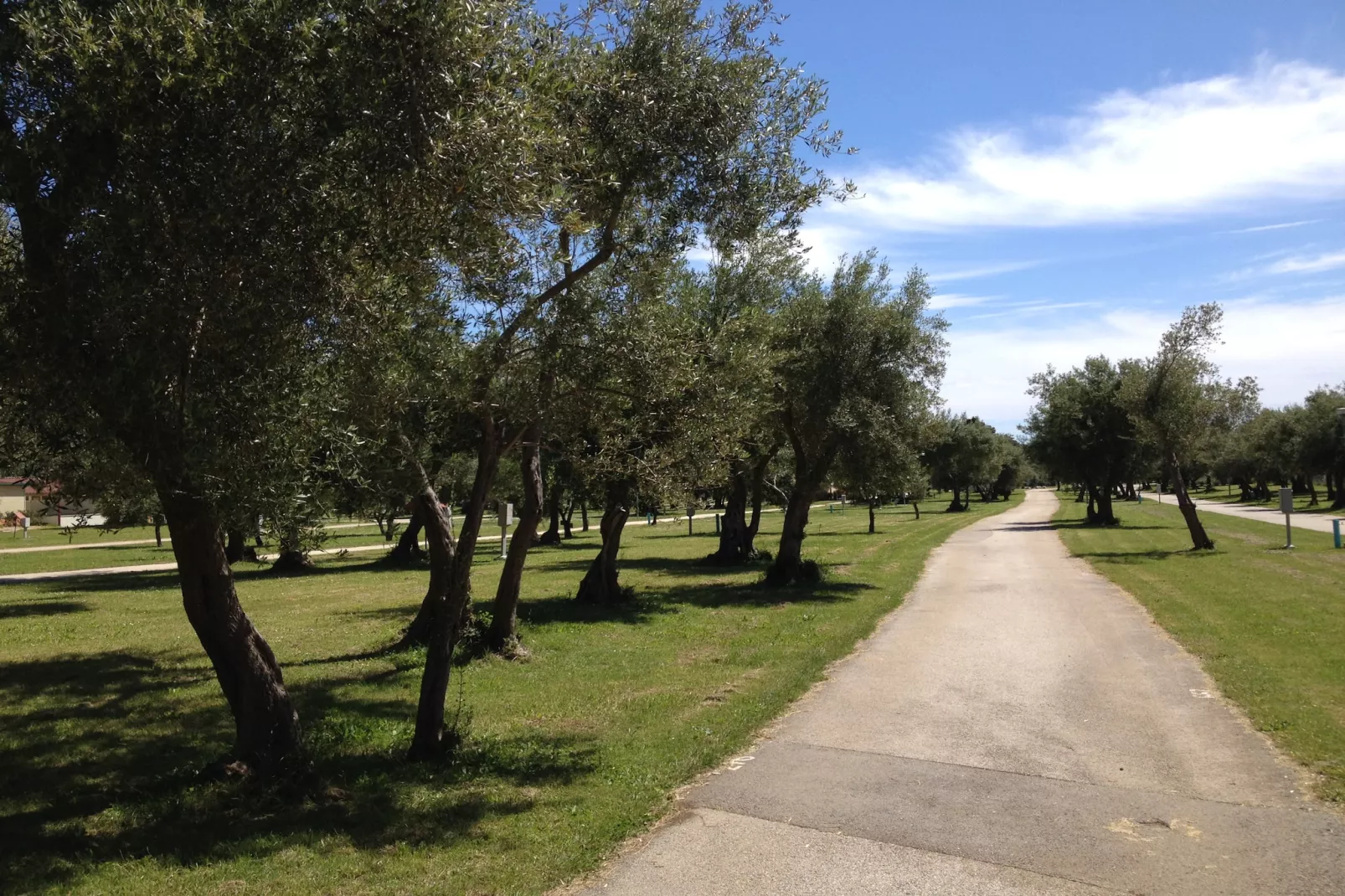 Camping Oliva / PREMIUM mobile home 4 persons PRE4 - Garten Sommer