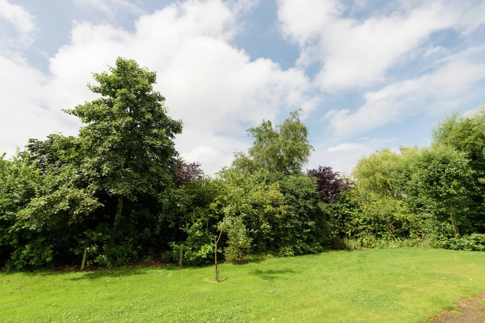 Op vakantie bij de boer - Jardins en été