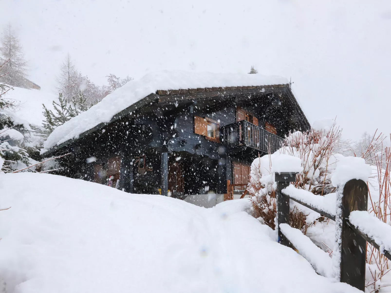 Cheechako - Draußen