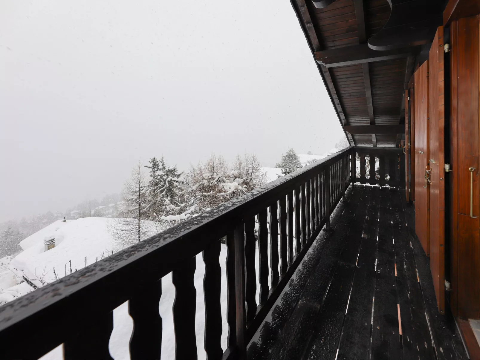 Cheechako - Draußen