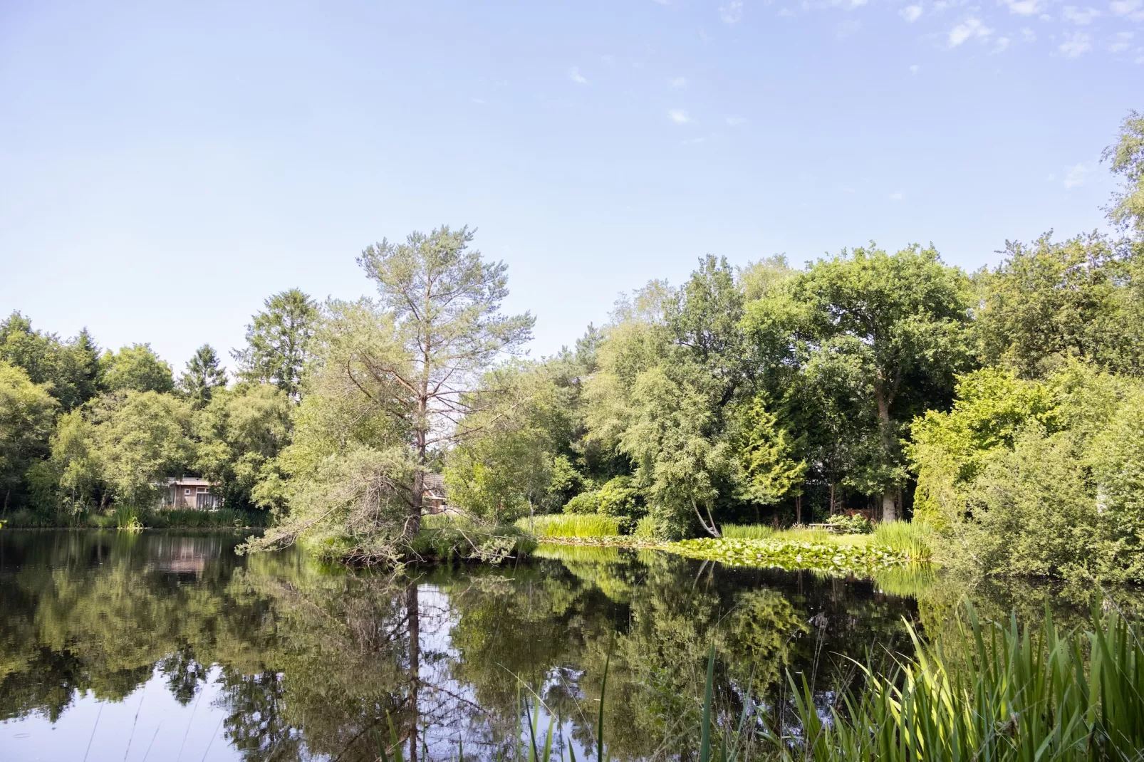 Huis in de Bossen - Zones été à 1 km