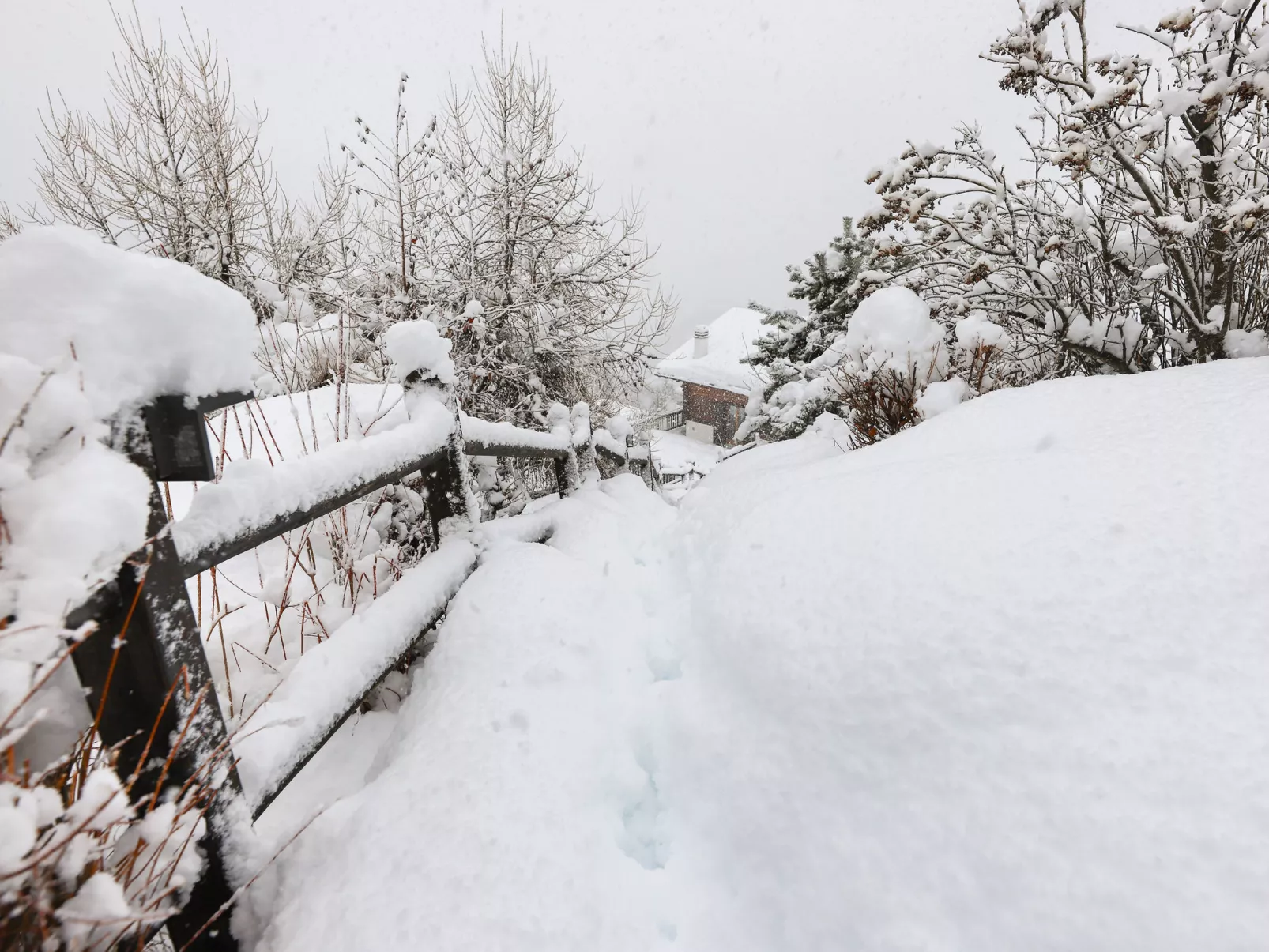 Cheechako - Draußen