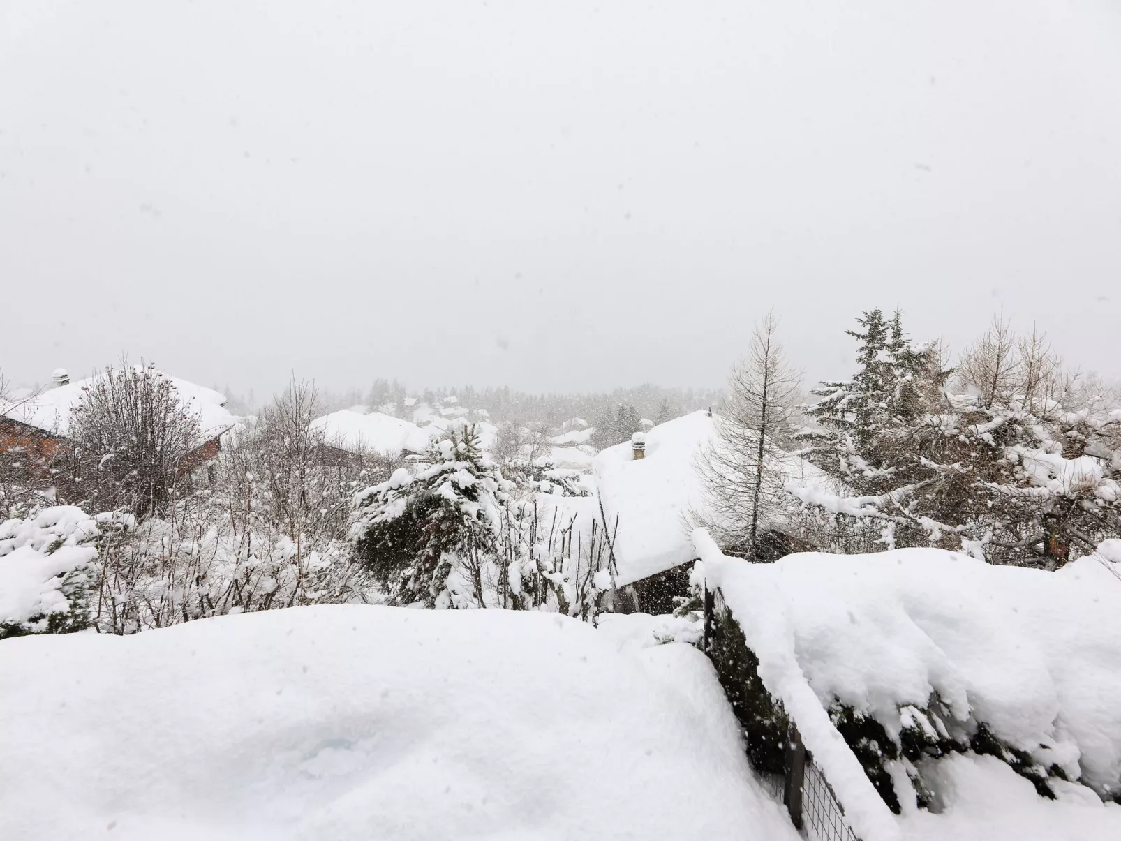 Cheechako - Draußen