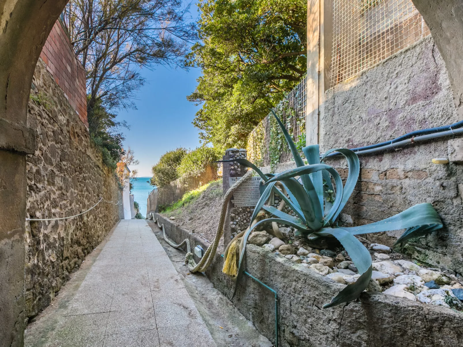 Rosa di sera - Draußen