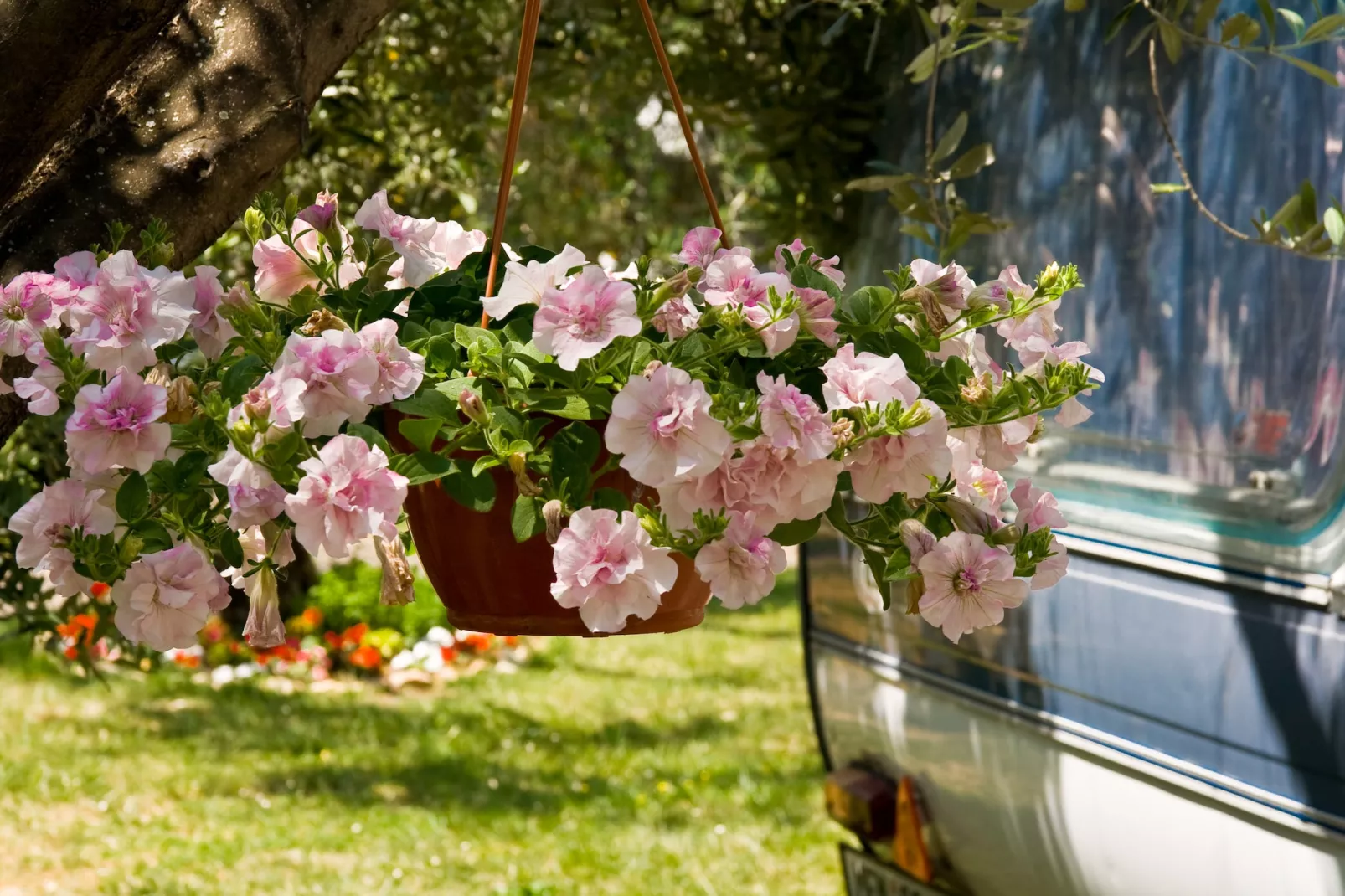 Camping Oliva / COMFORT mobile home COM - Ambiente