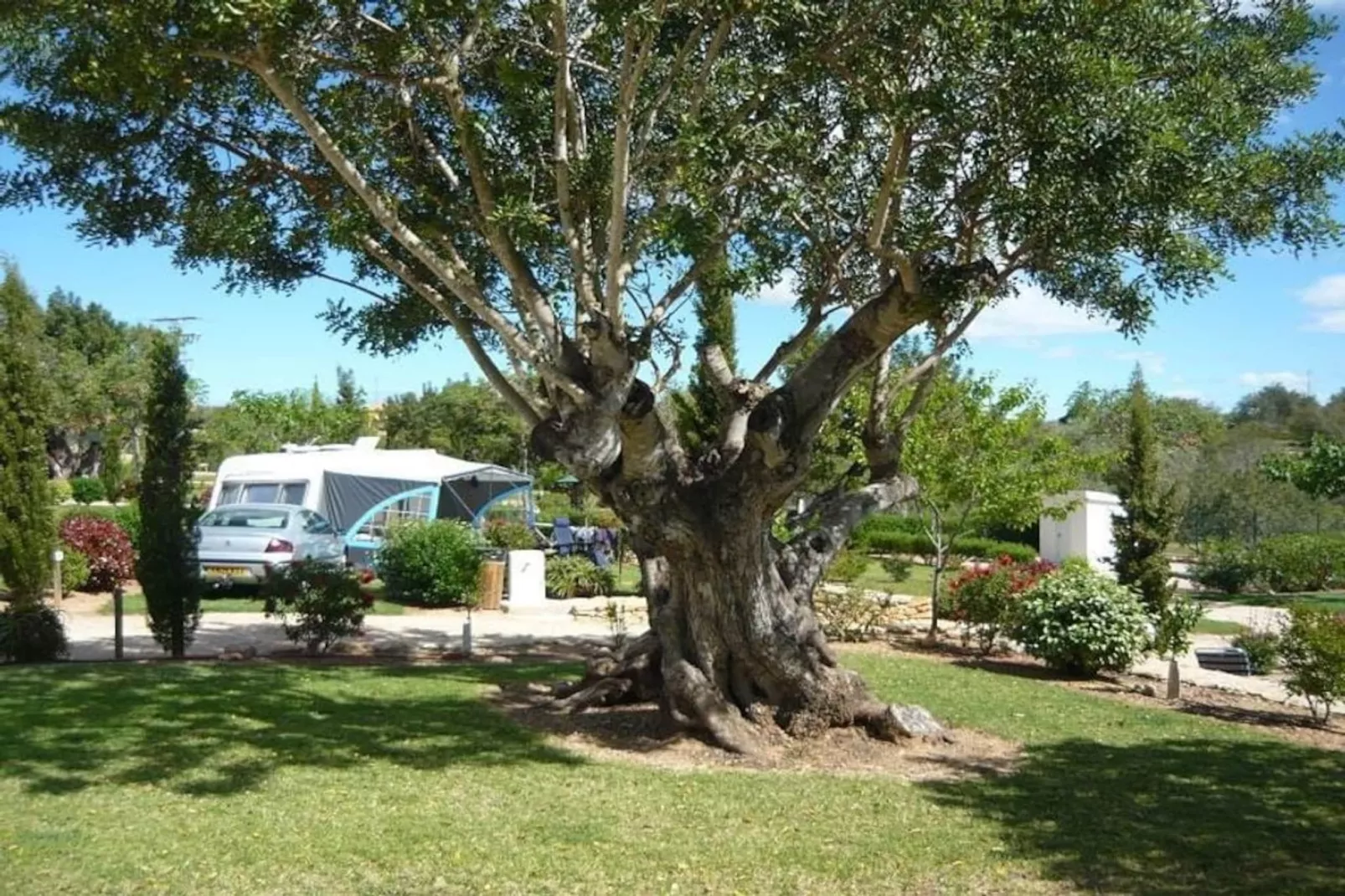 Mobil-home | Classic | 2 Bedrooms | 4/6 Pers. | Raised terrace | Air-con. - Non tagué