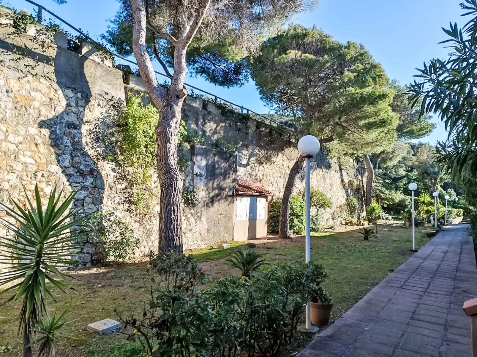 Rosa di sera - Draußen