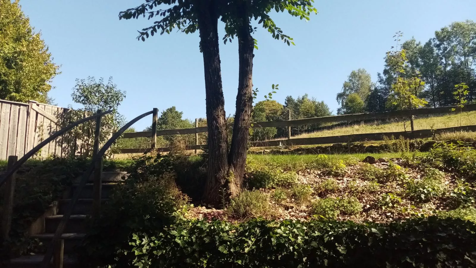 Au Ballon-Aussicht Sommer