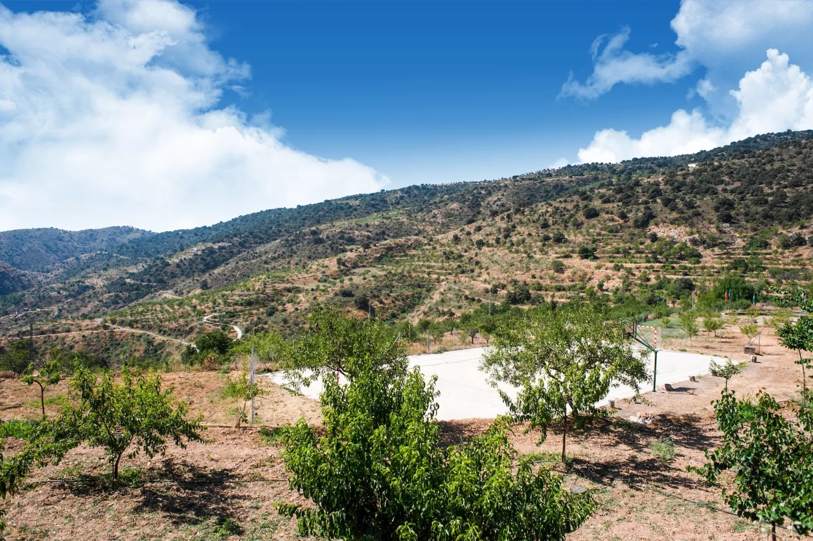 La Albaida - 6 pax - Aussicht Sommer