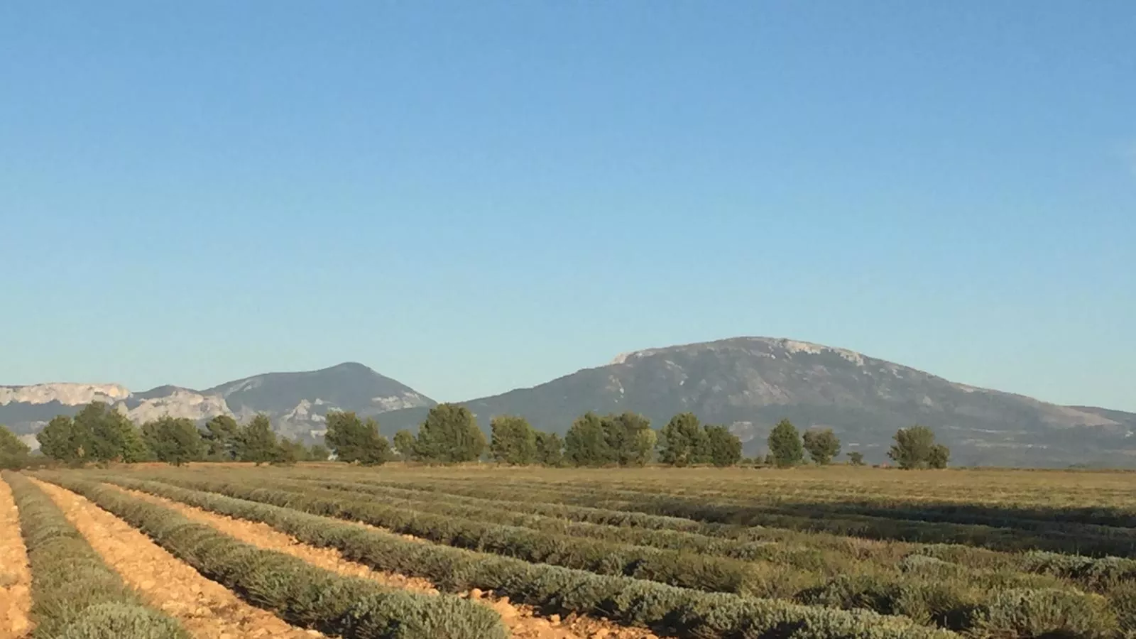 La Sarrazine-Areas summer 5km