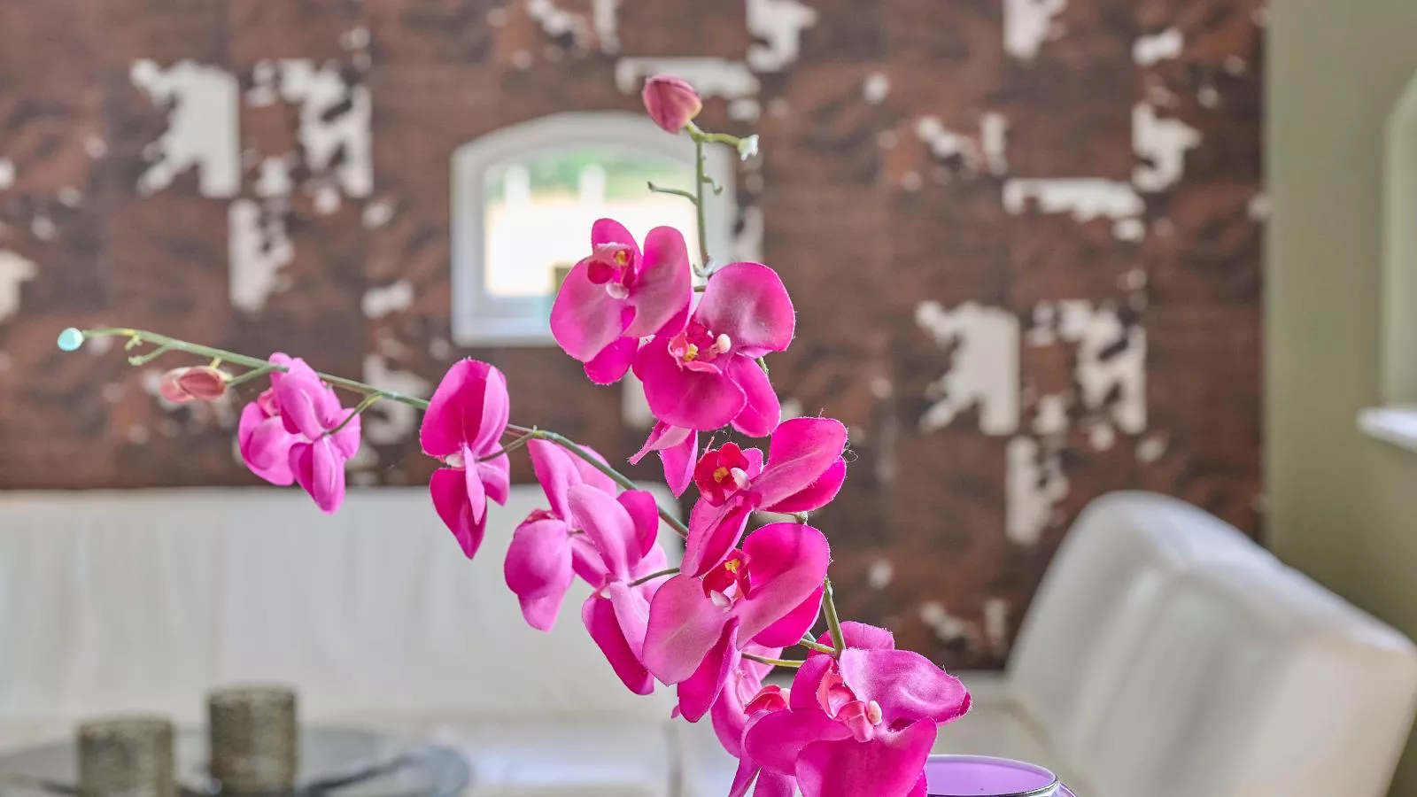 Farmers Lodge Combi - Ambiente