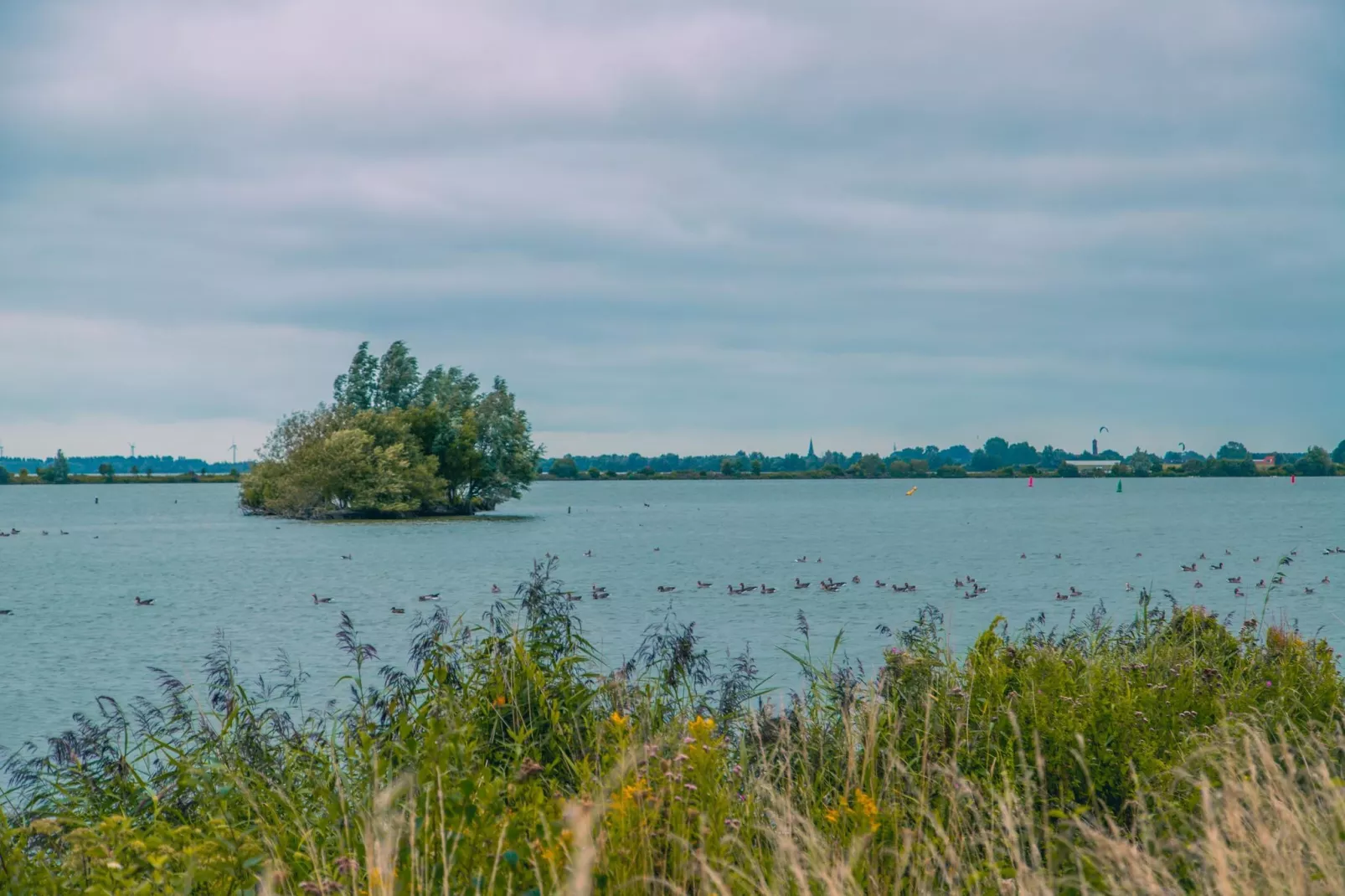 Oosterdijk 6 - Zones été à 5 km