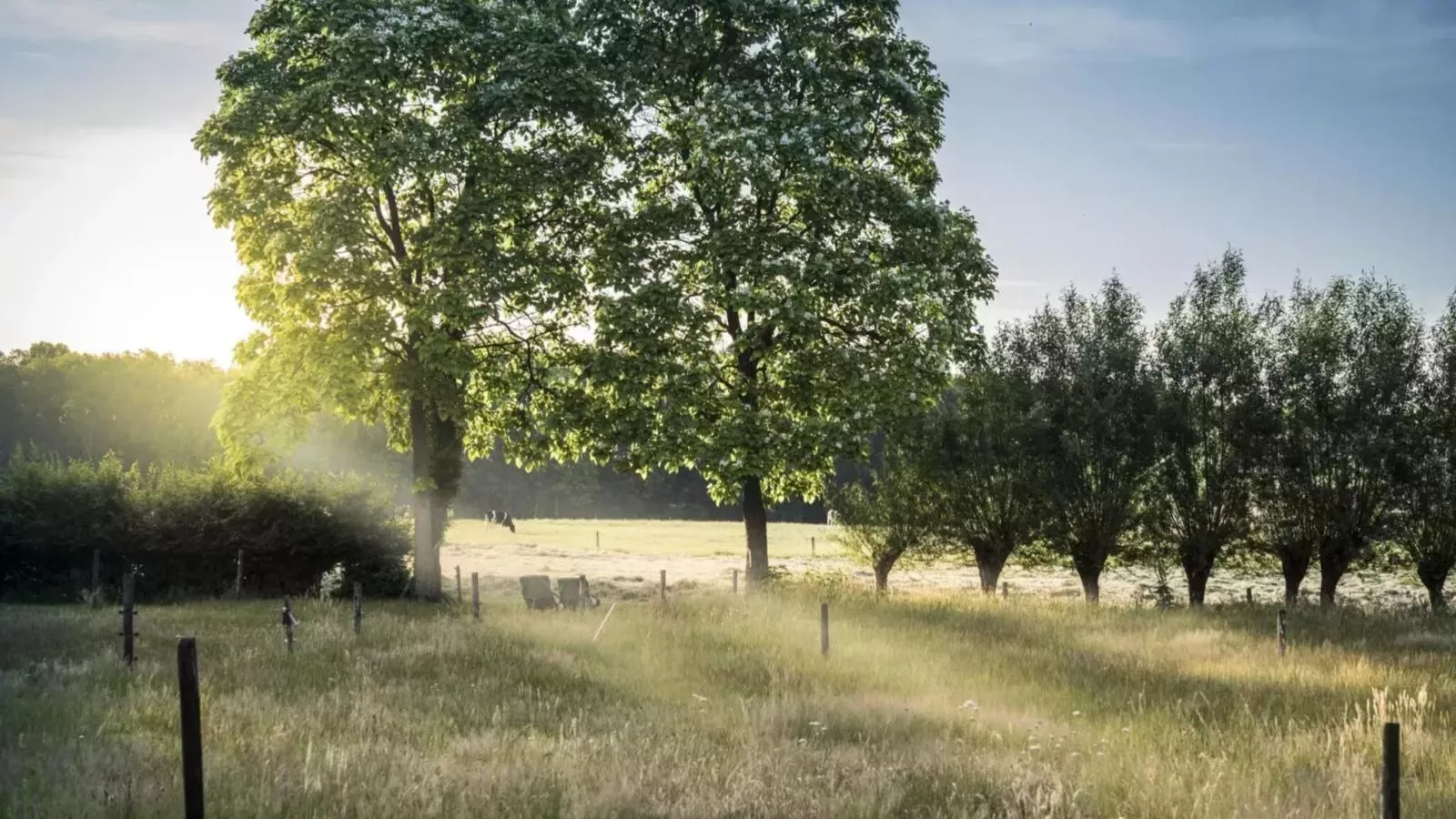 Twente Village - Gebiete Sommer 1 km