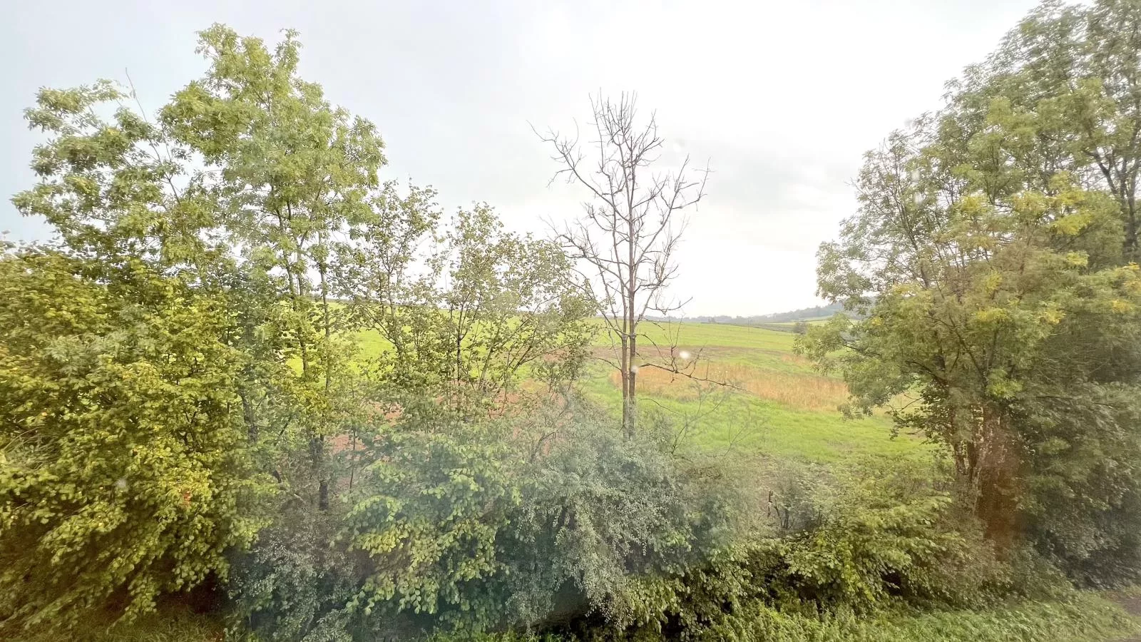 La Usine du Charme-View summer