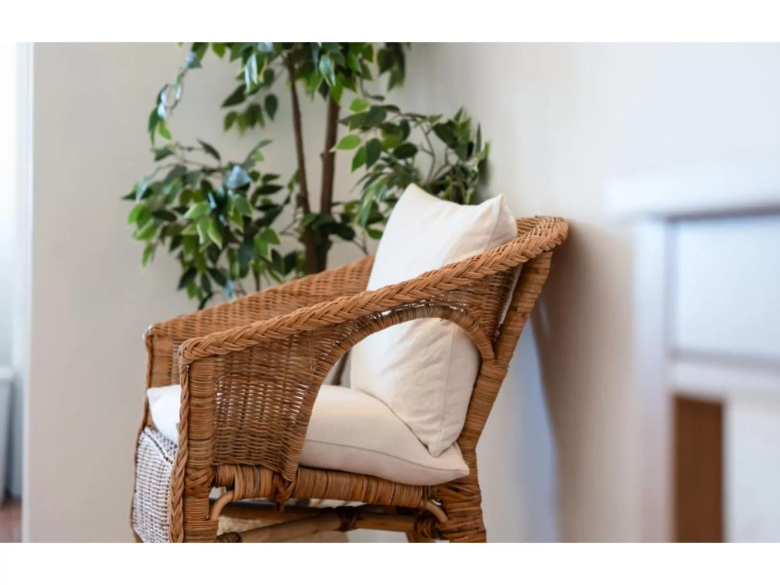 Studio 54 - Sunny Way - Inside