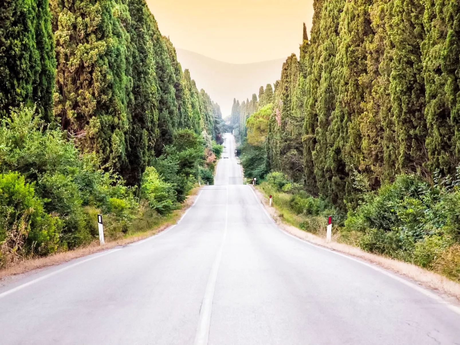 Casale Bolgherese - Dehors