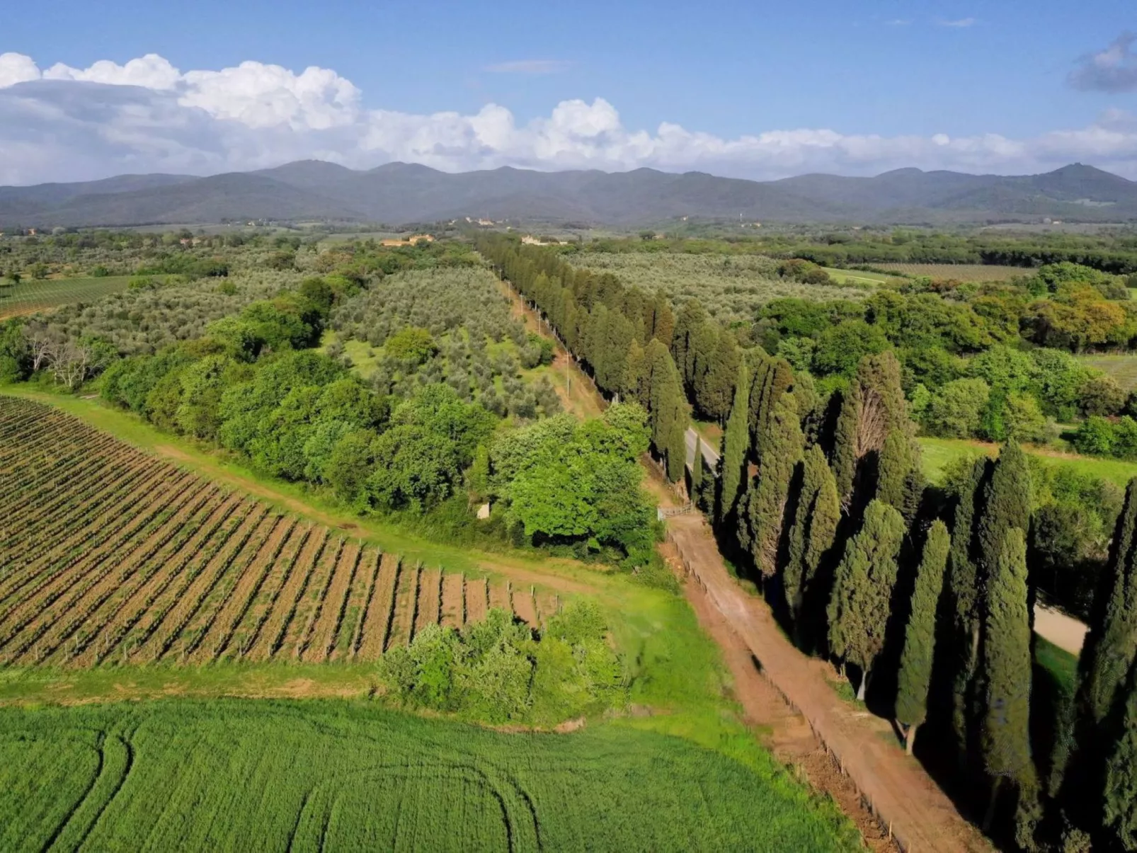 Casale Bolgherese - Dehors