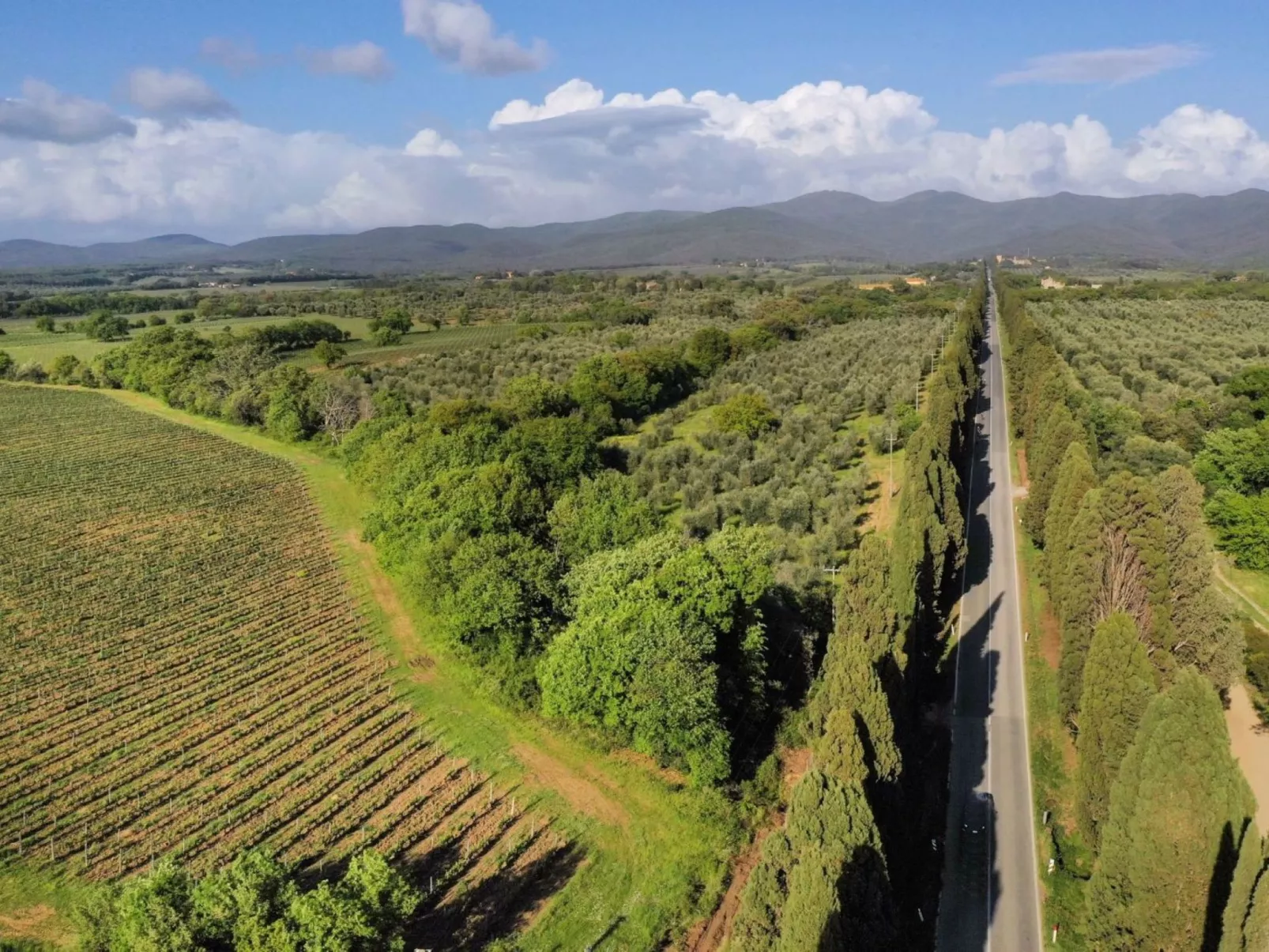 Casale Bolgherese - Outside