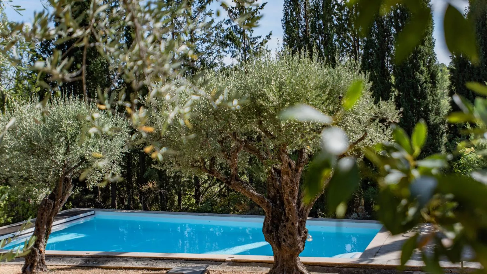 Le Mas dormant-Pool