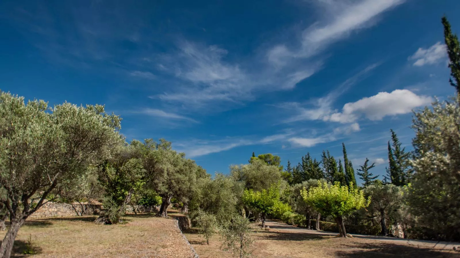 Le Mas dormant-Areas summer 1km