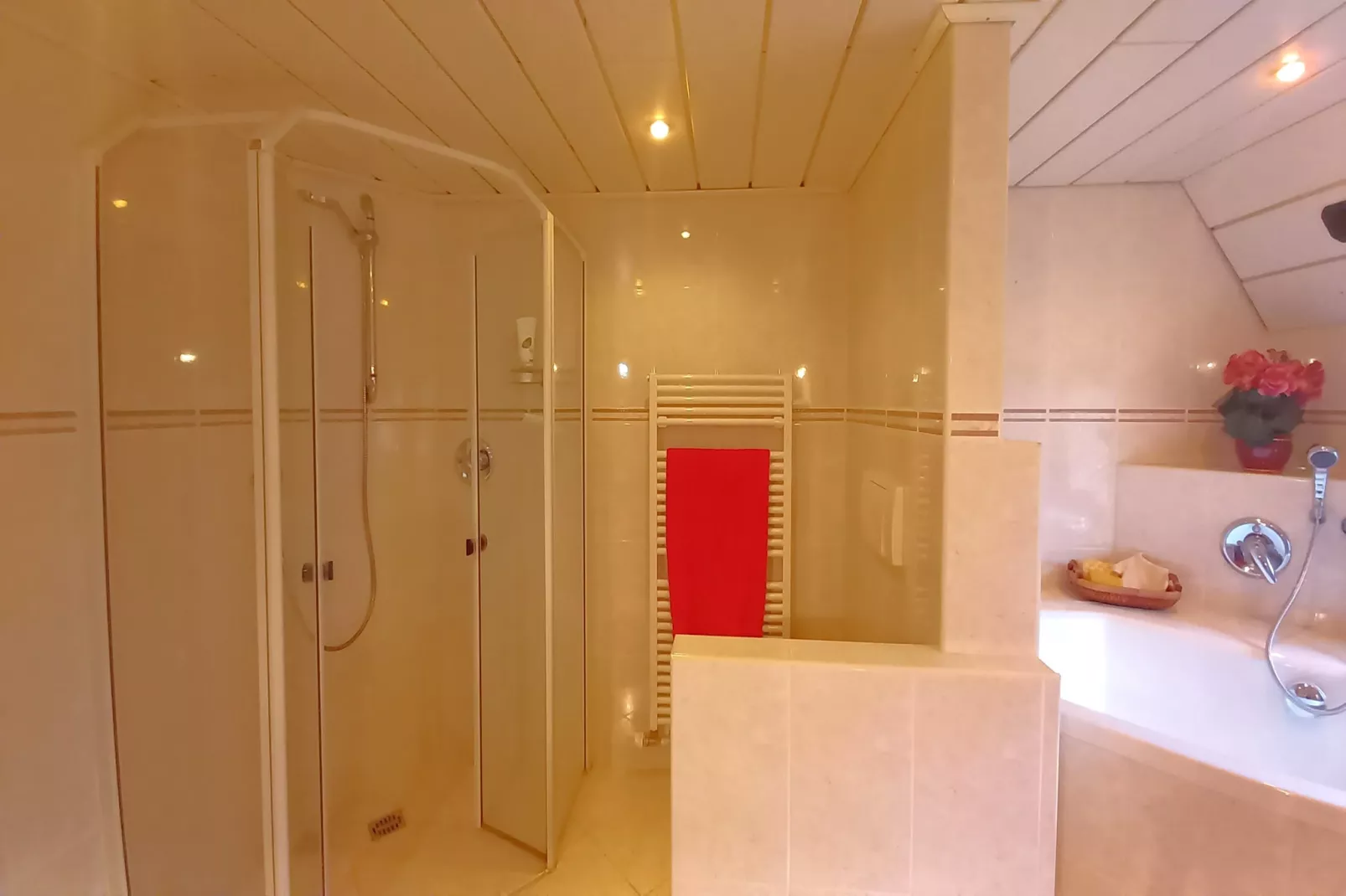 Ferienwohnung EG Staßfurt Schnittke - Badezimmer