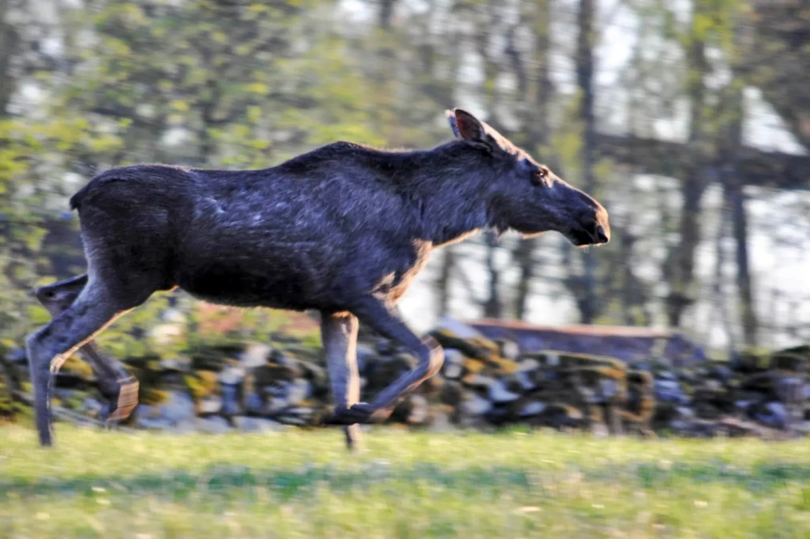 5 person holiday home in Årsunda
