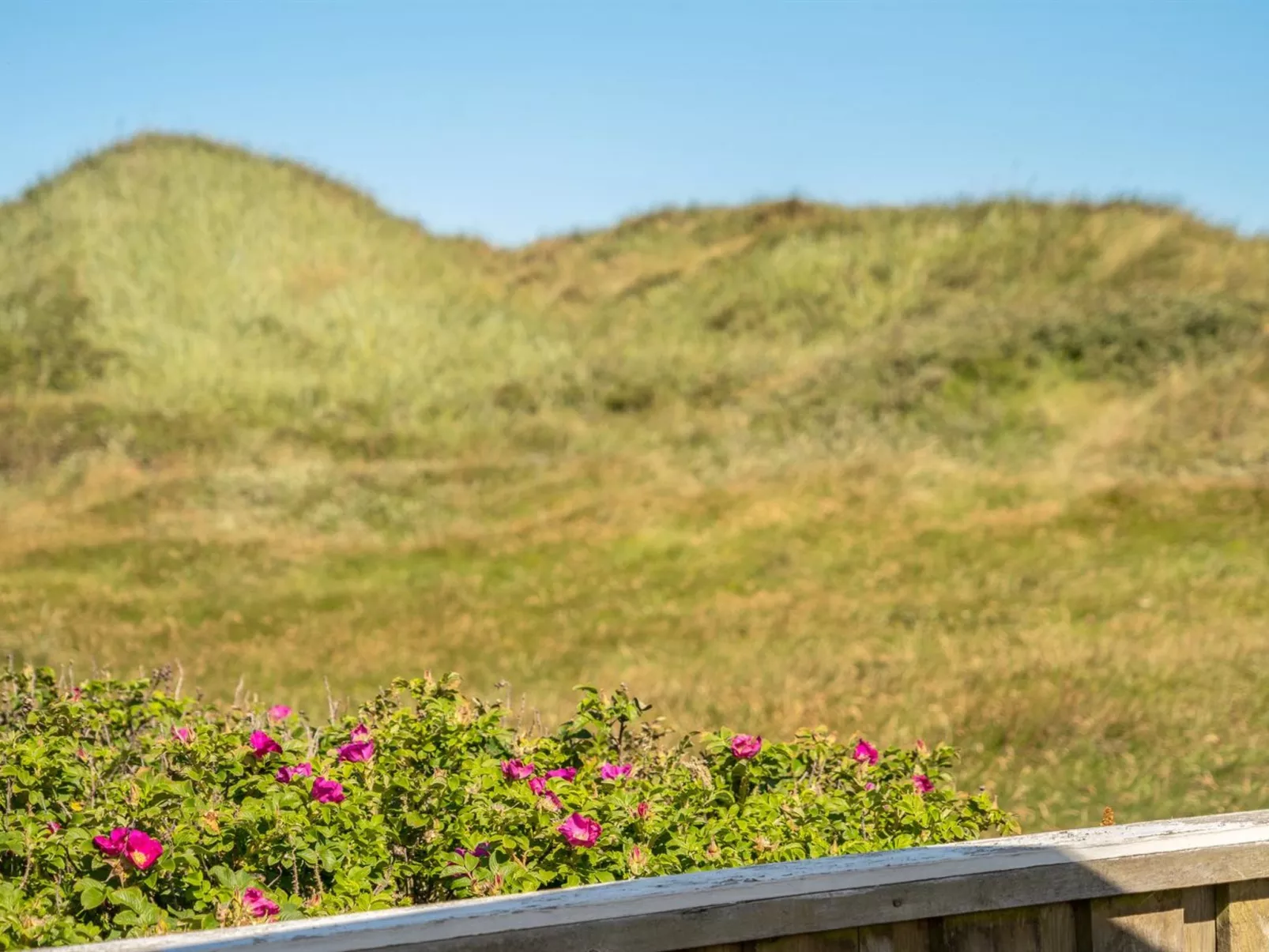 "Valpuri" - 150m from the sea - Outside