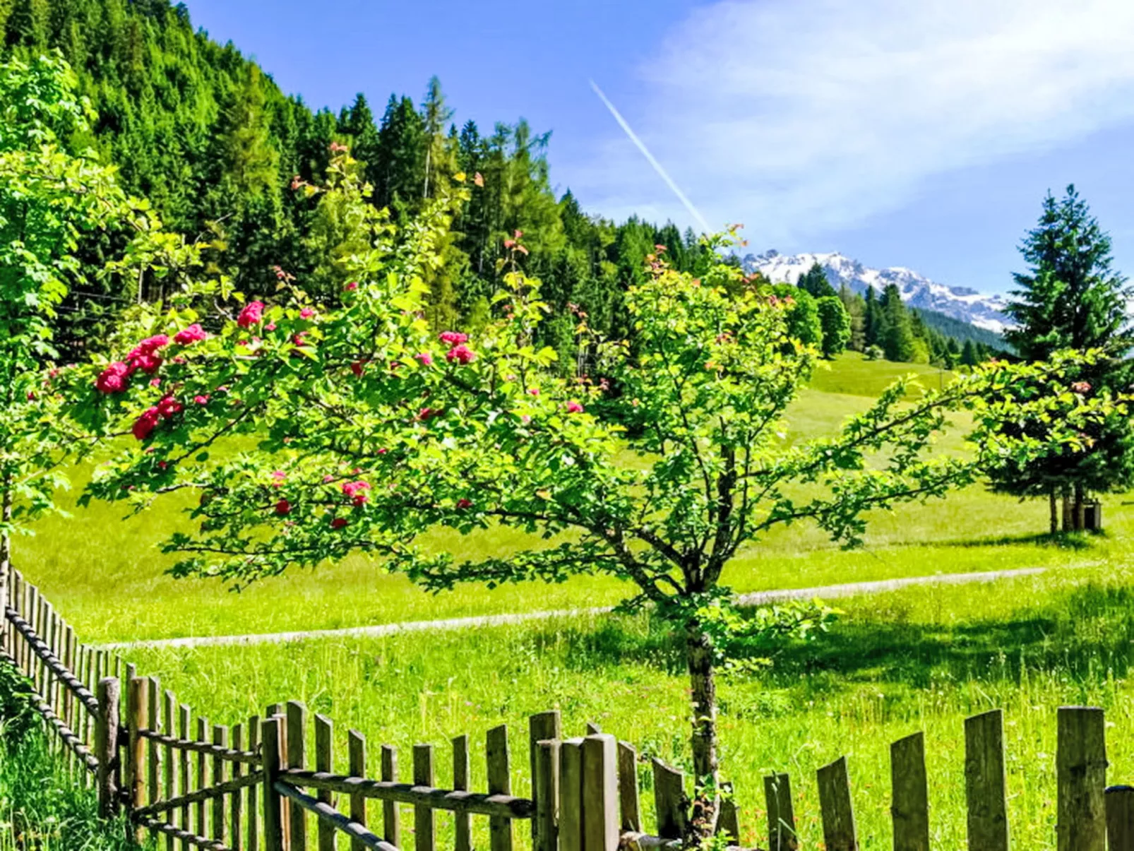 Knaushäusl - Draußen